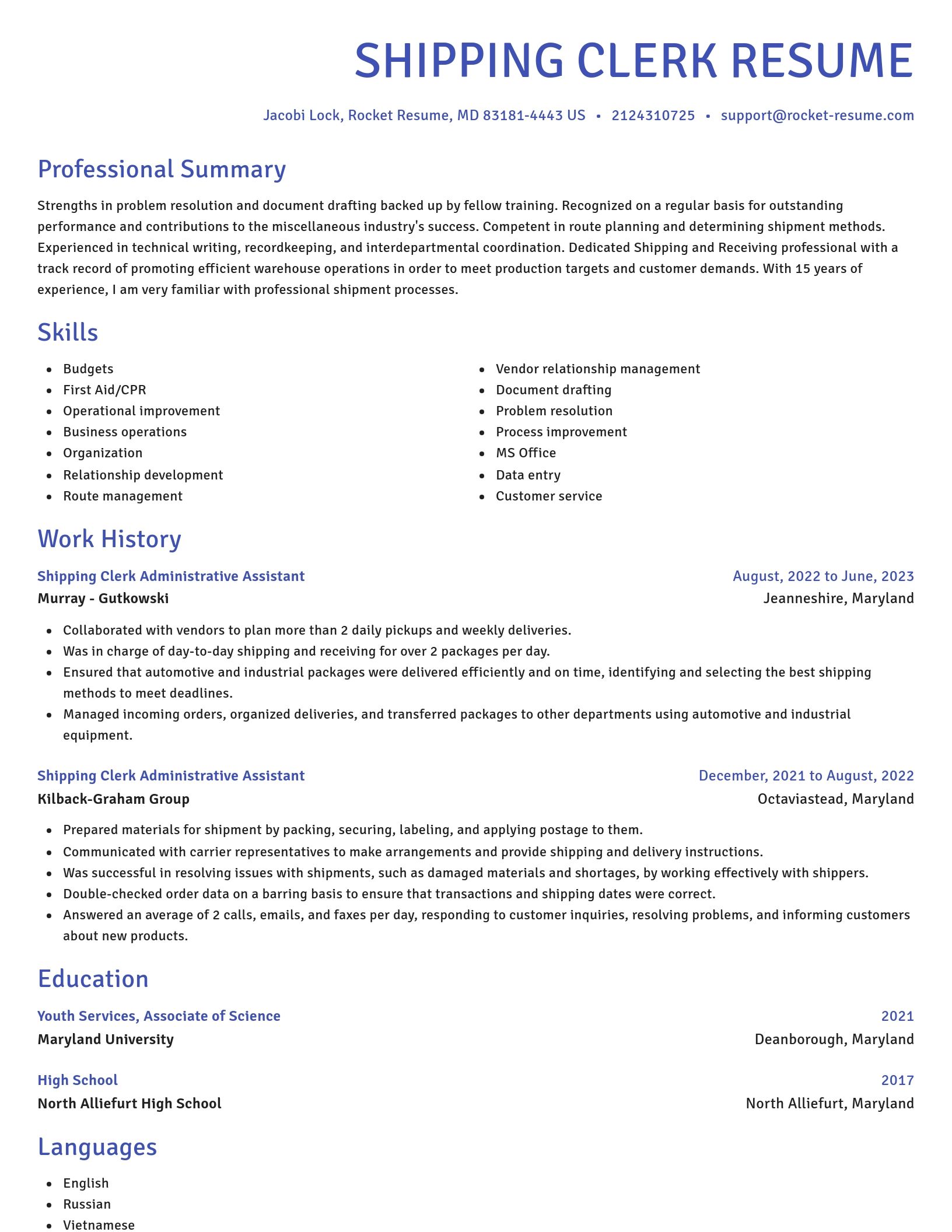 Novel resume template