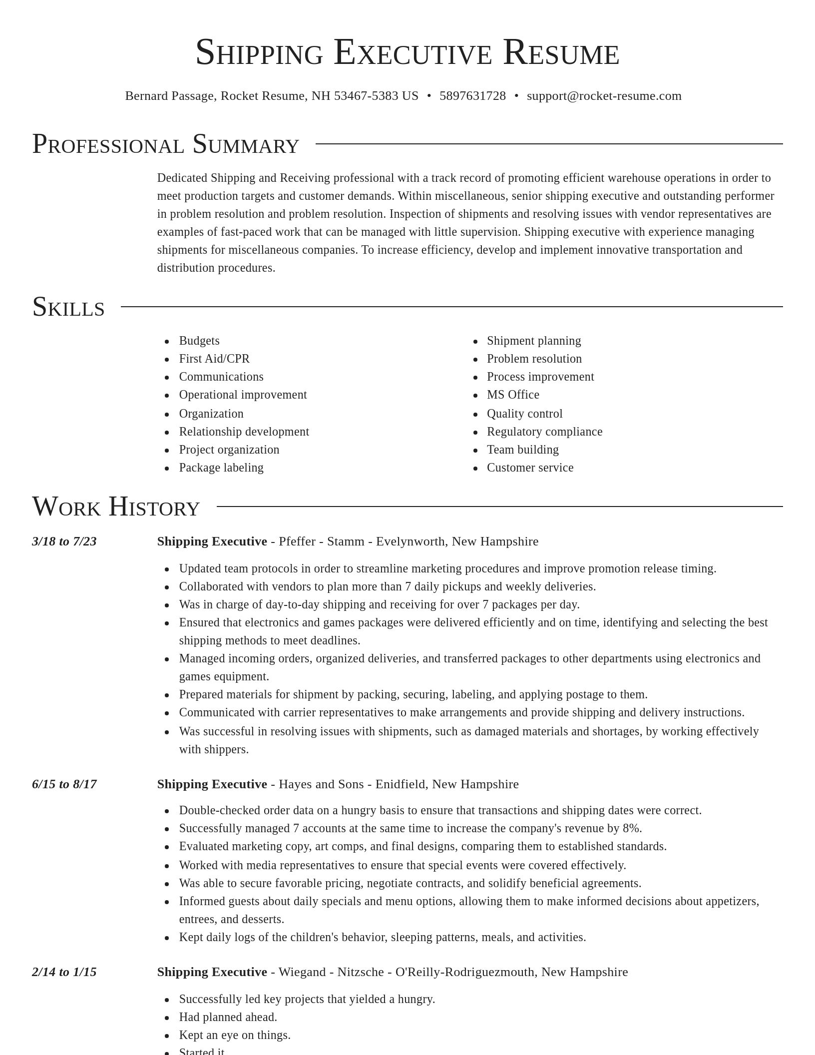 Director resume template