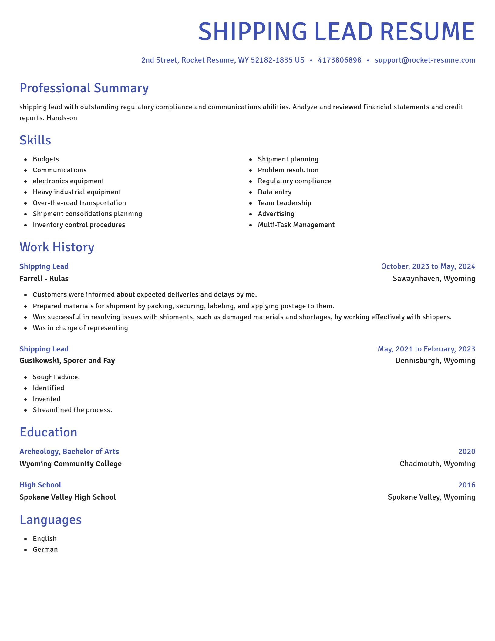 Novel resume template