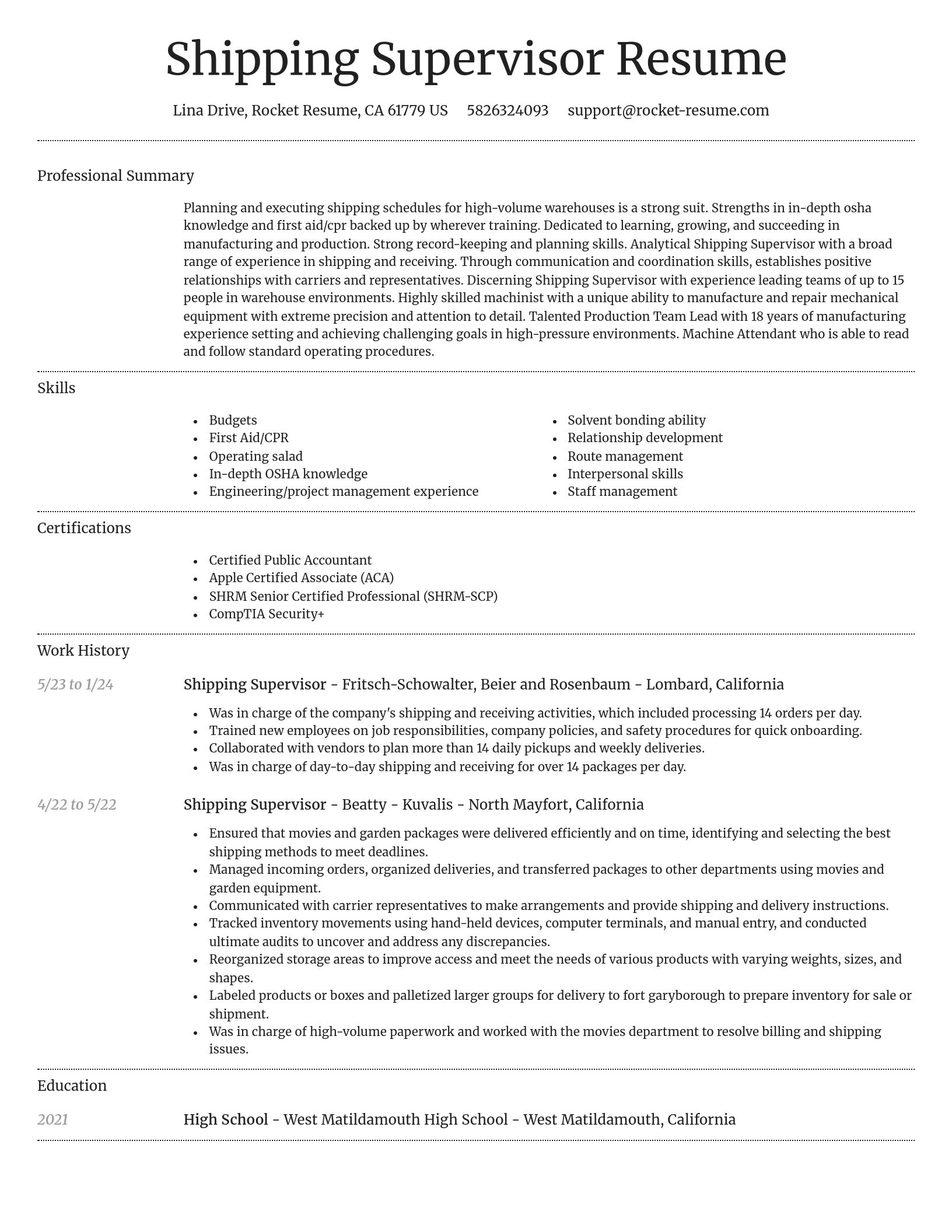 Dignified resume template