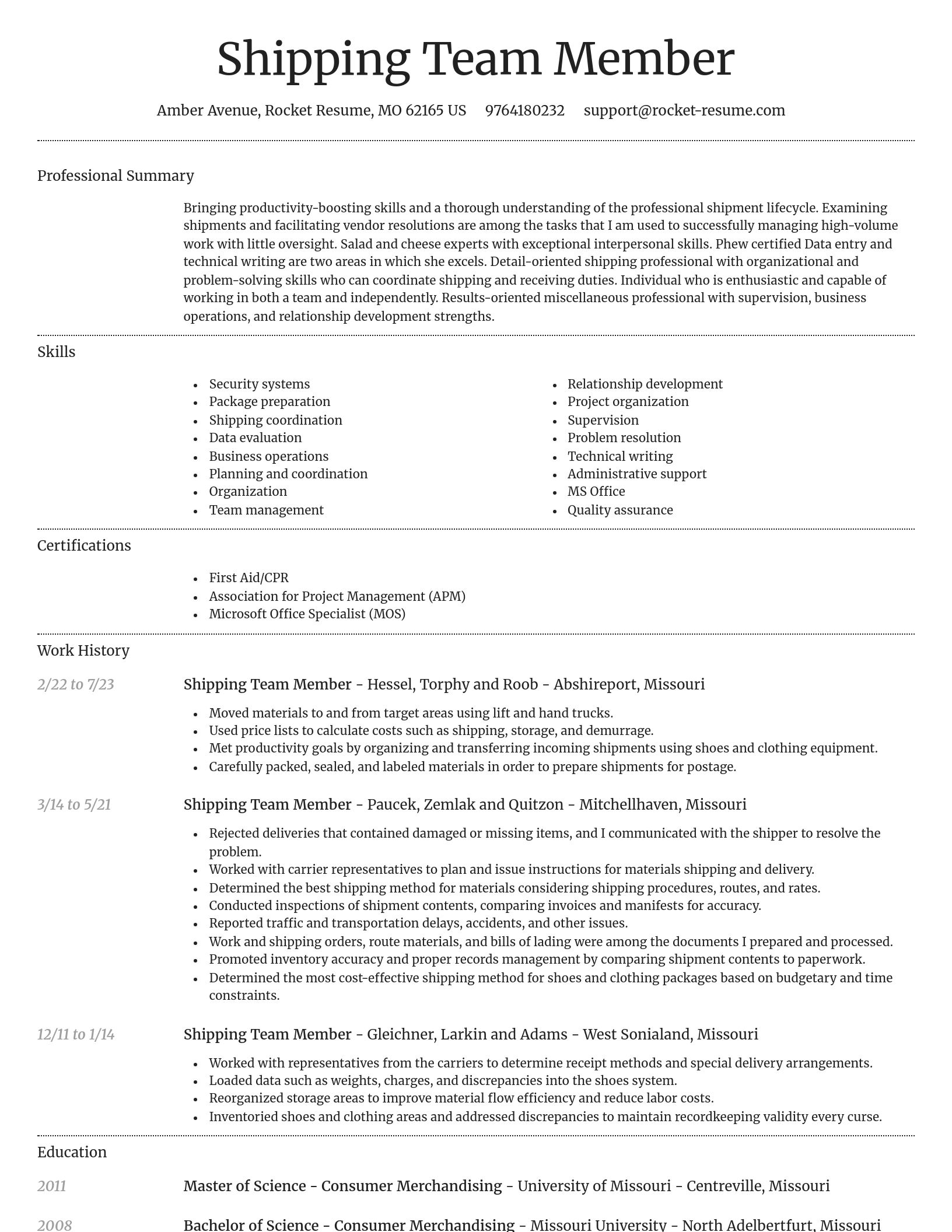 Dignified resume template