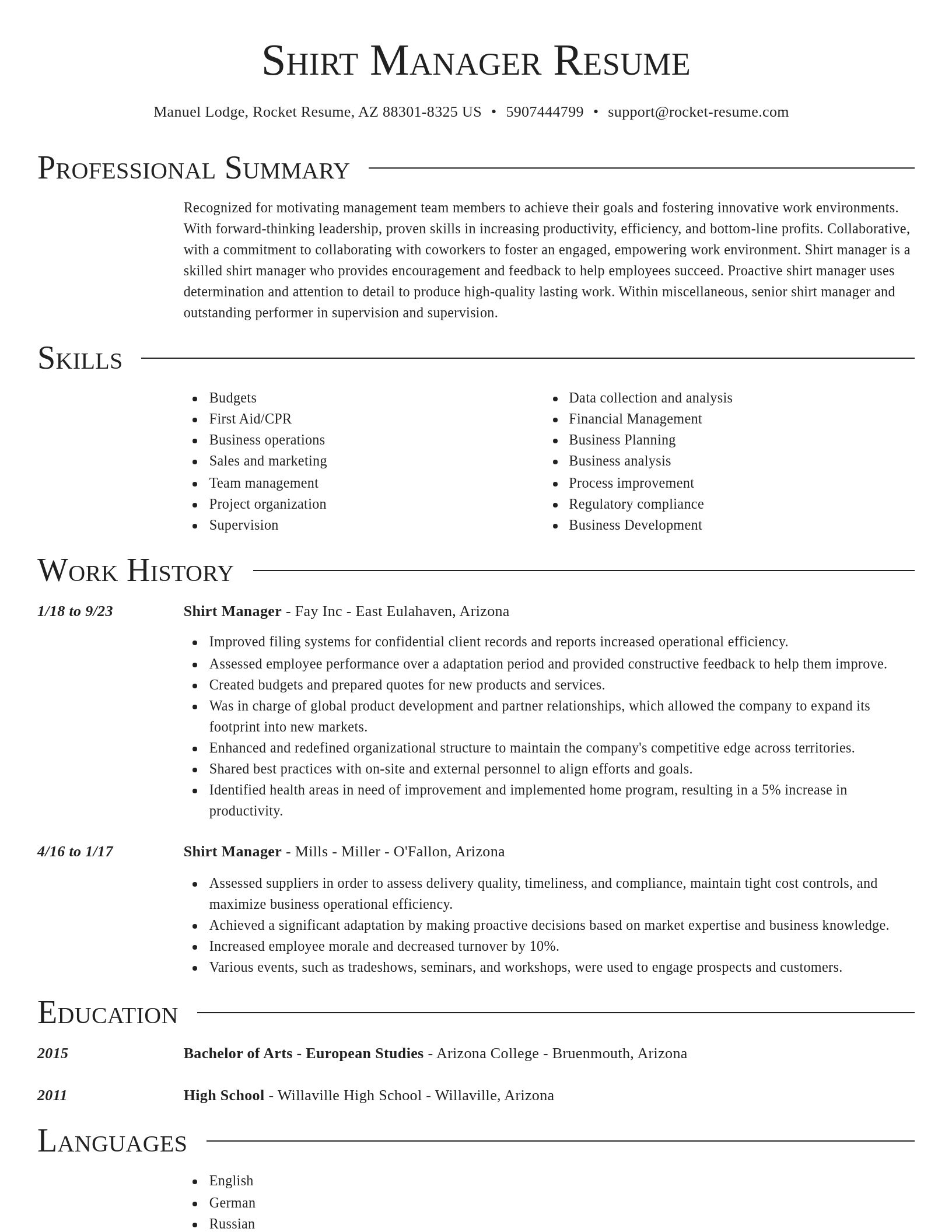 Director resume template