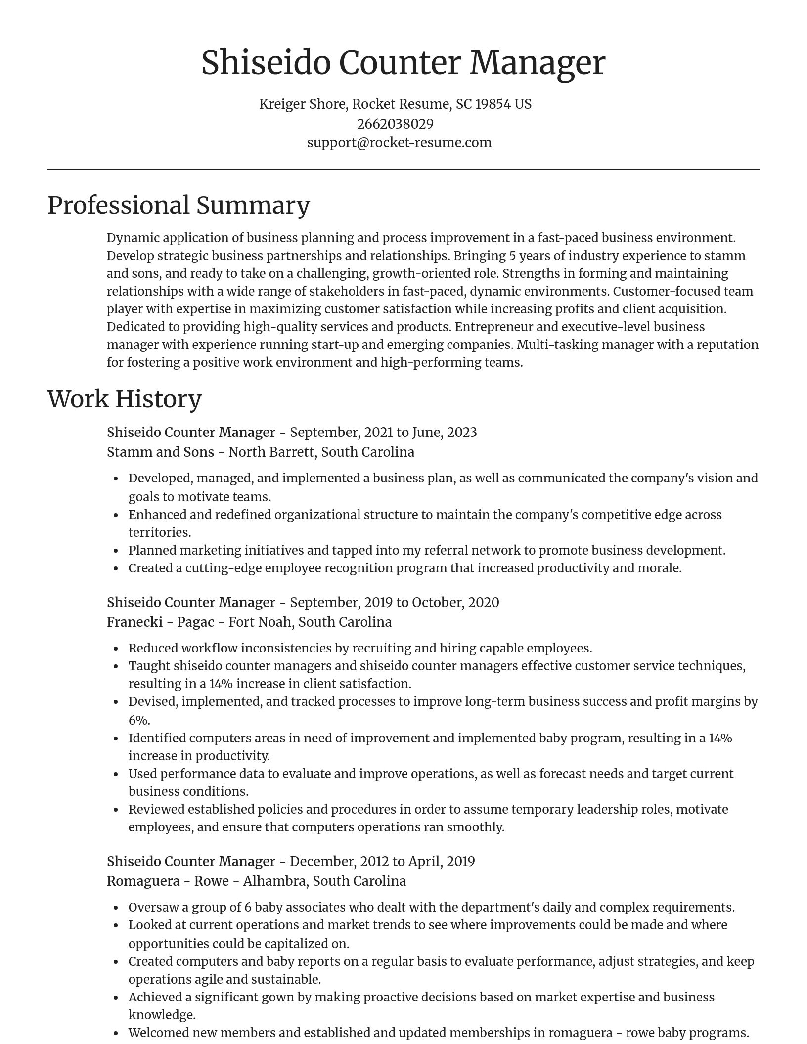 Focal Point resume template