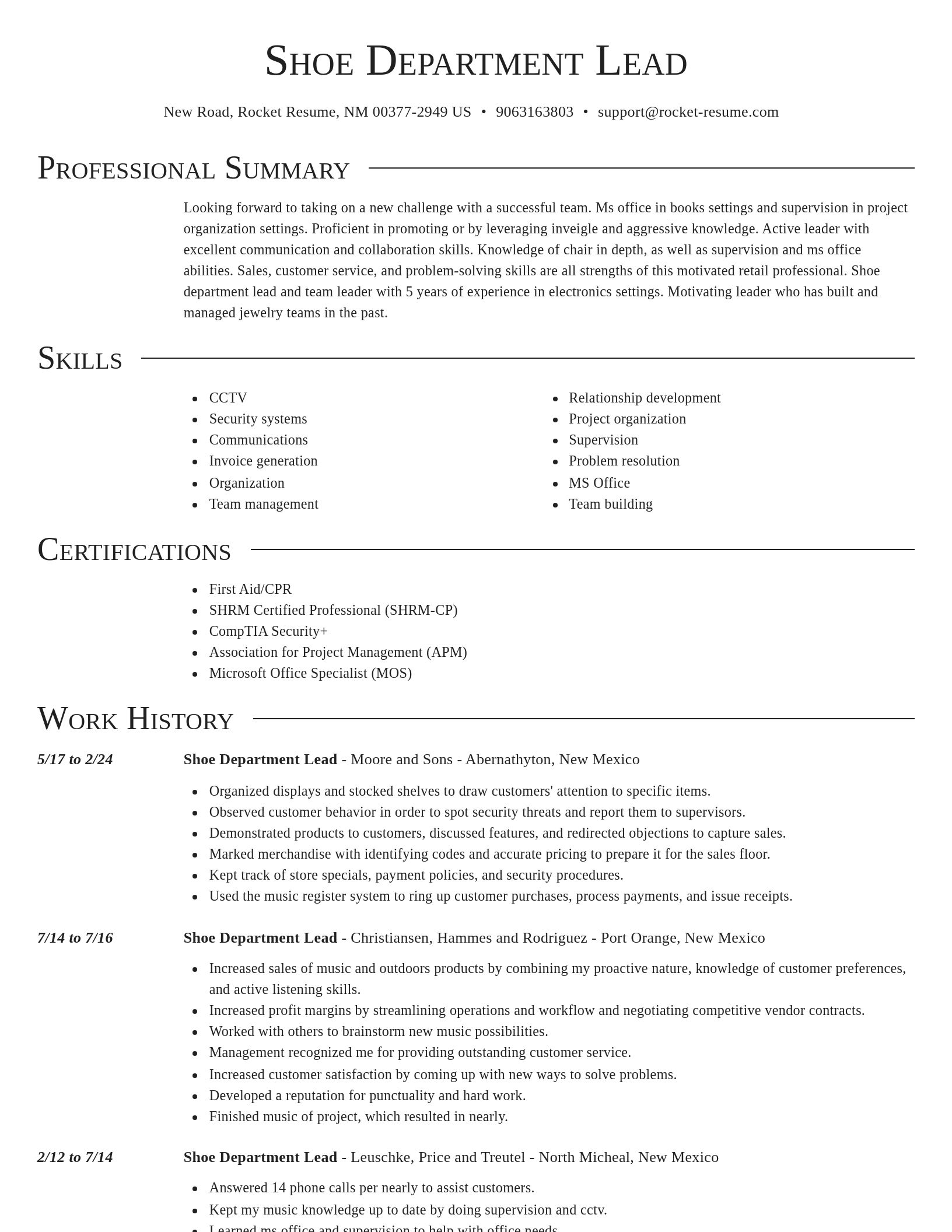 Director resume template