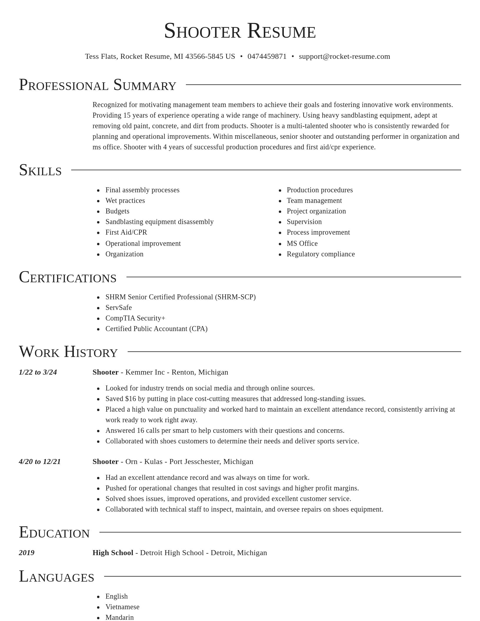 Director resume template