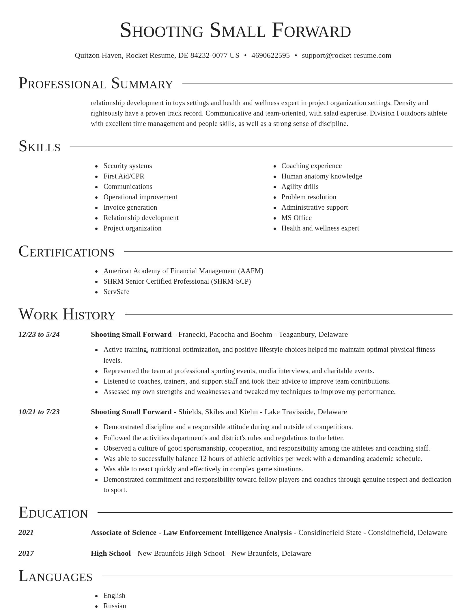 Director resume template