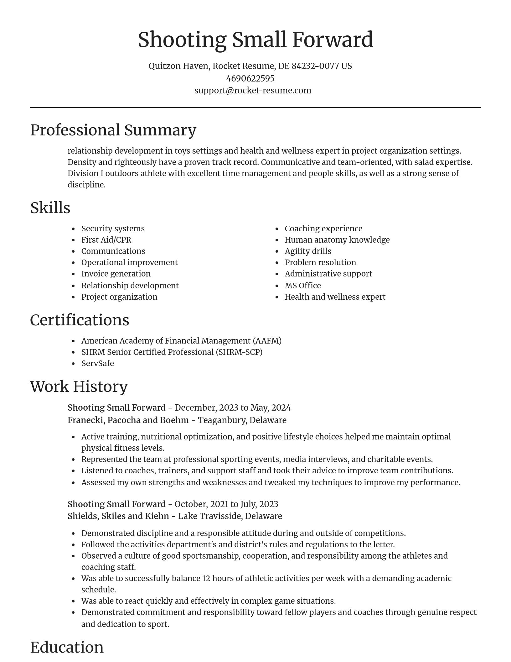 Focal Point resume template