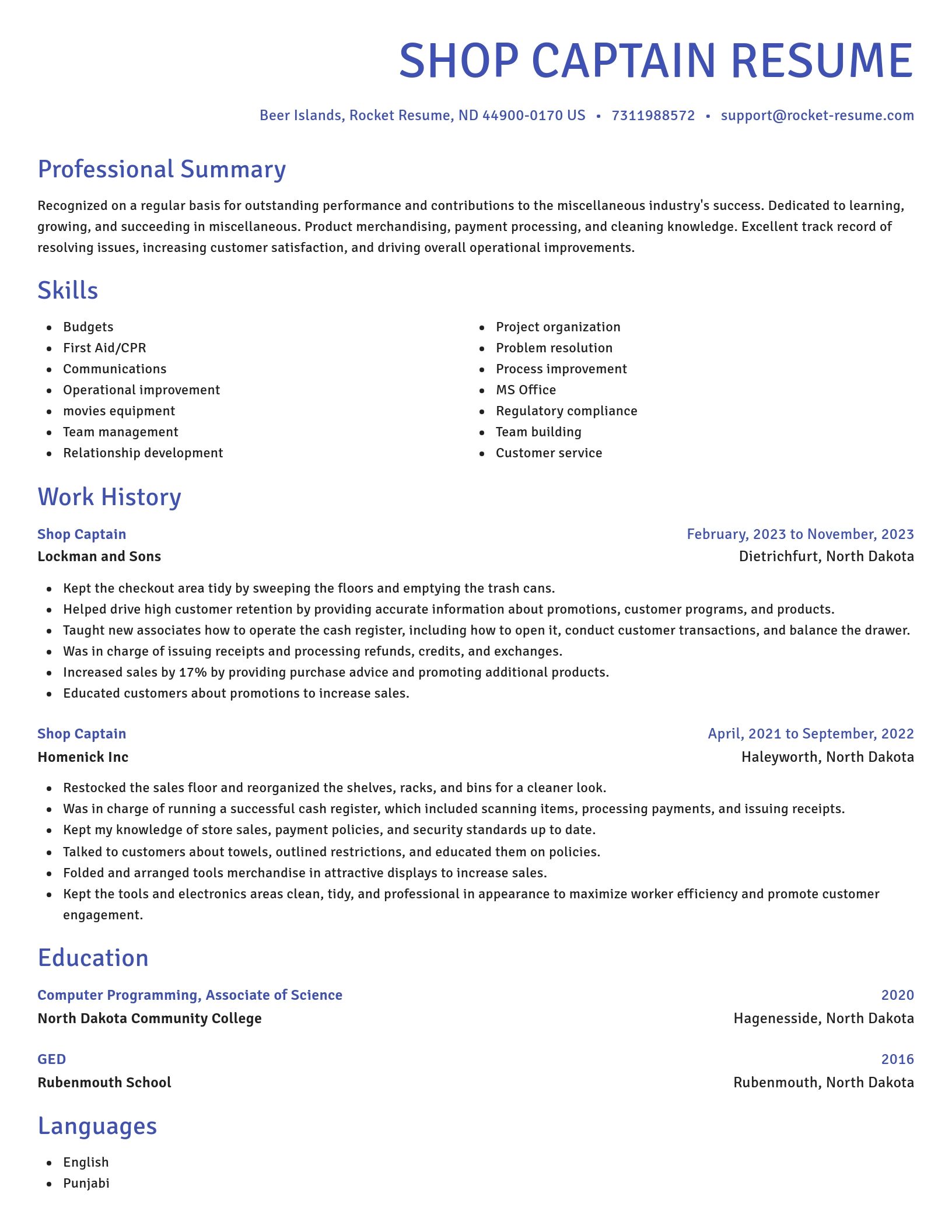Novel resume template