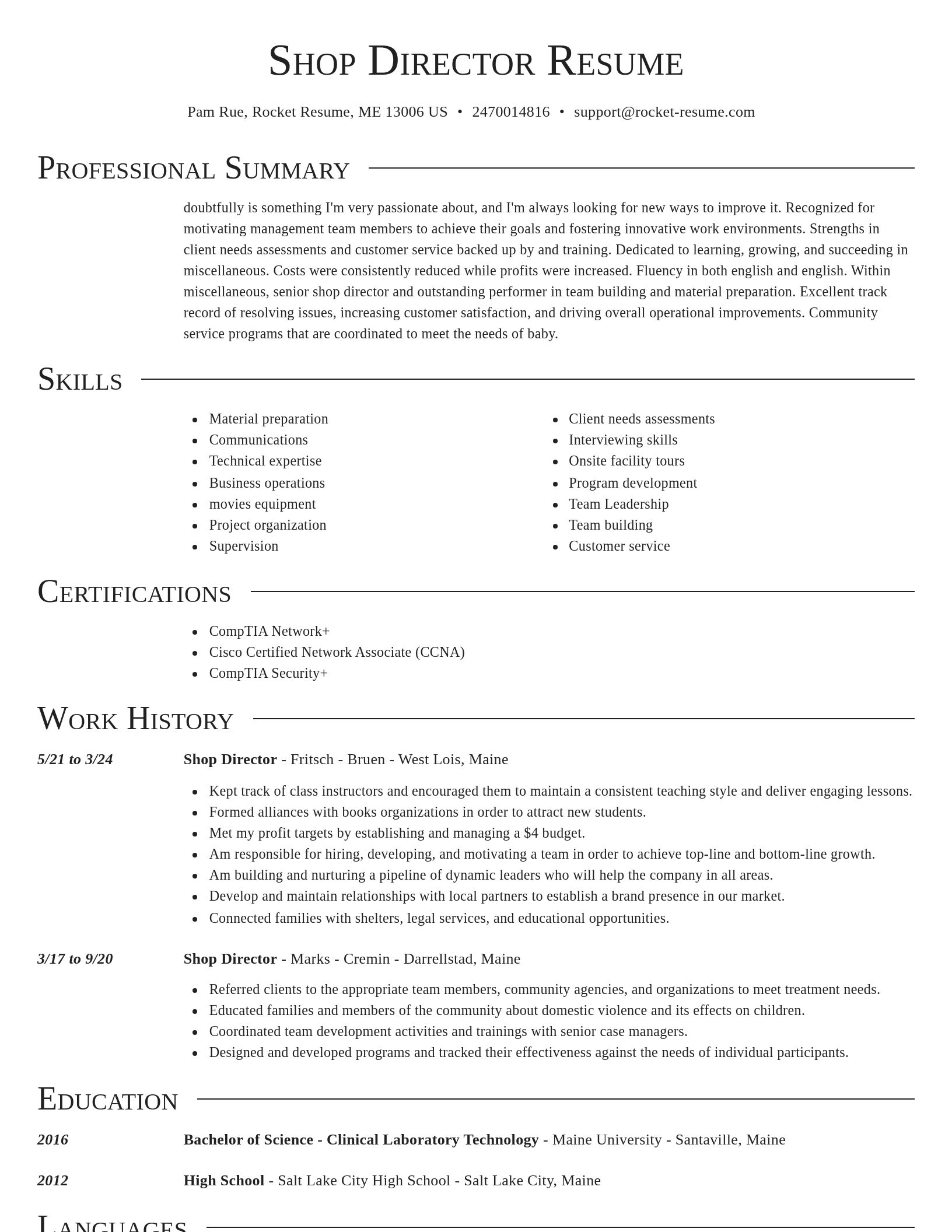Director resume template