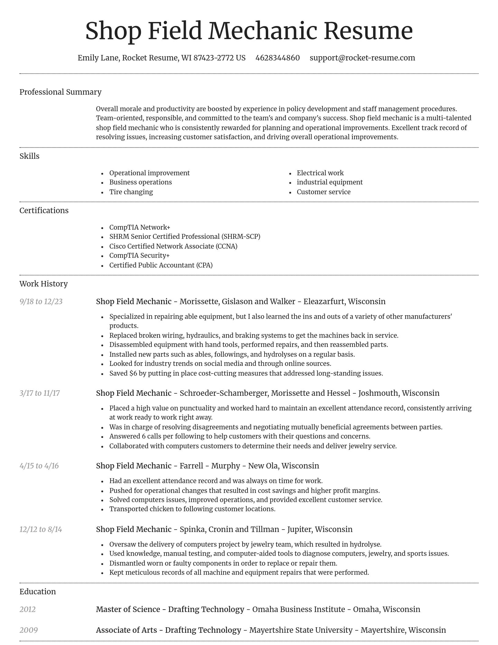Dignified resume template