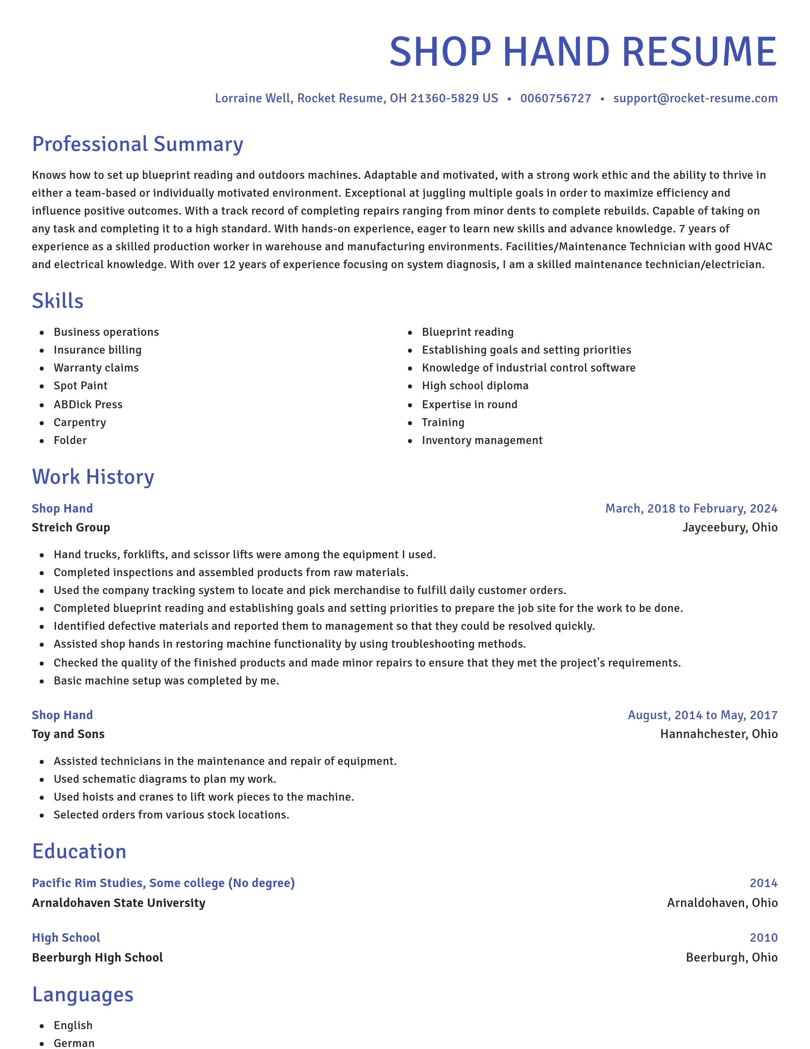 Novel resume template