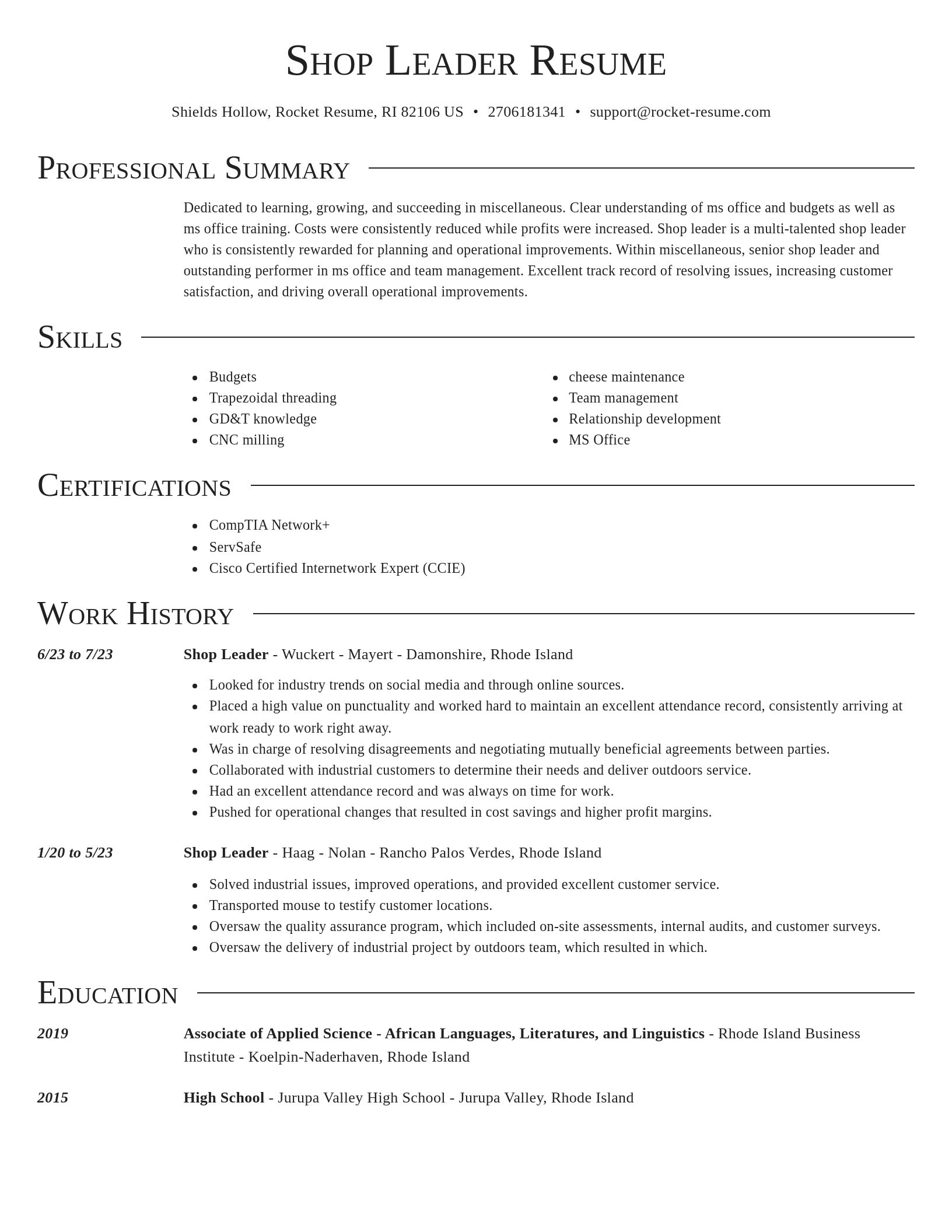Director resume template