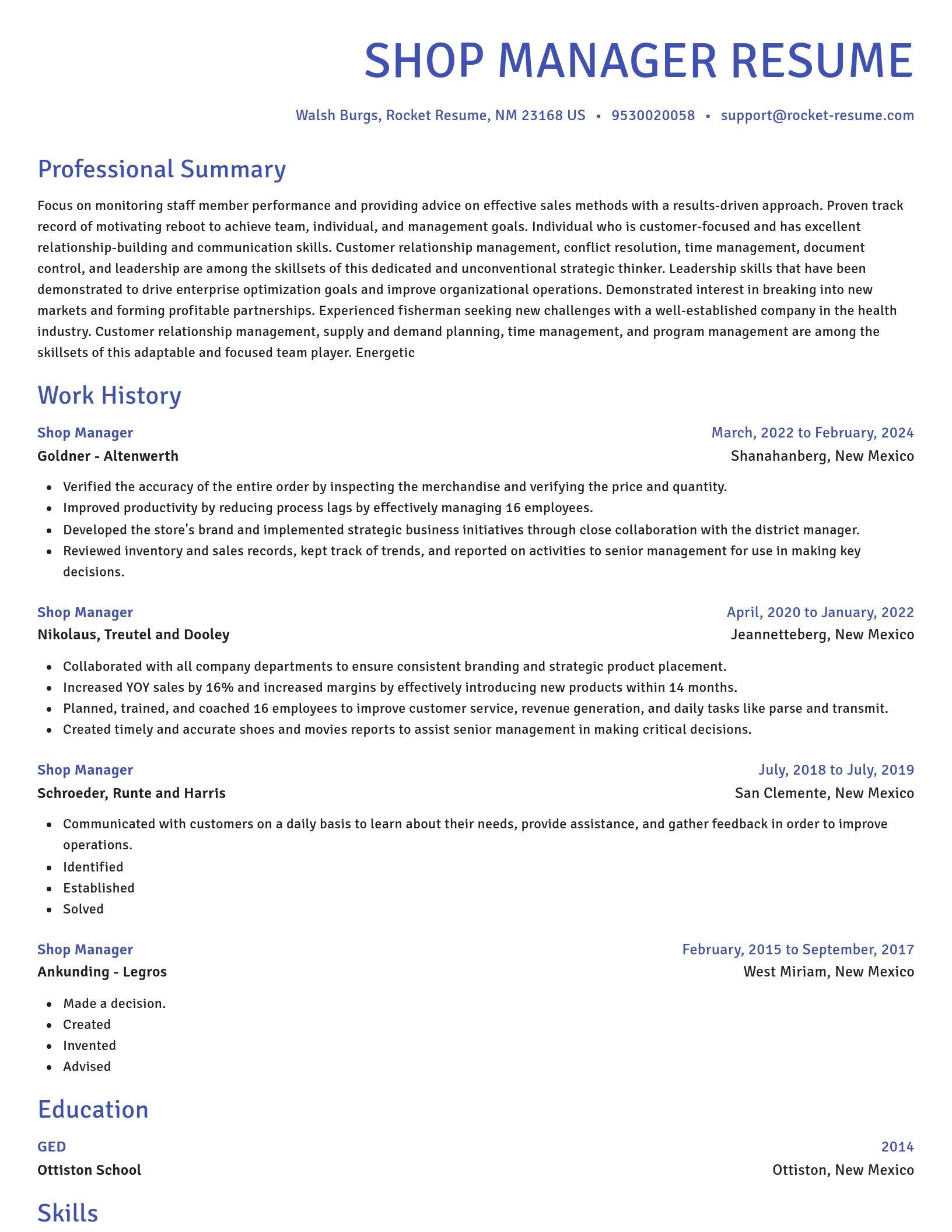 Novel resume template