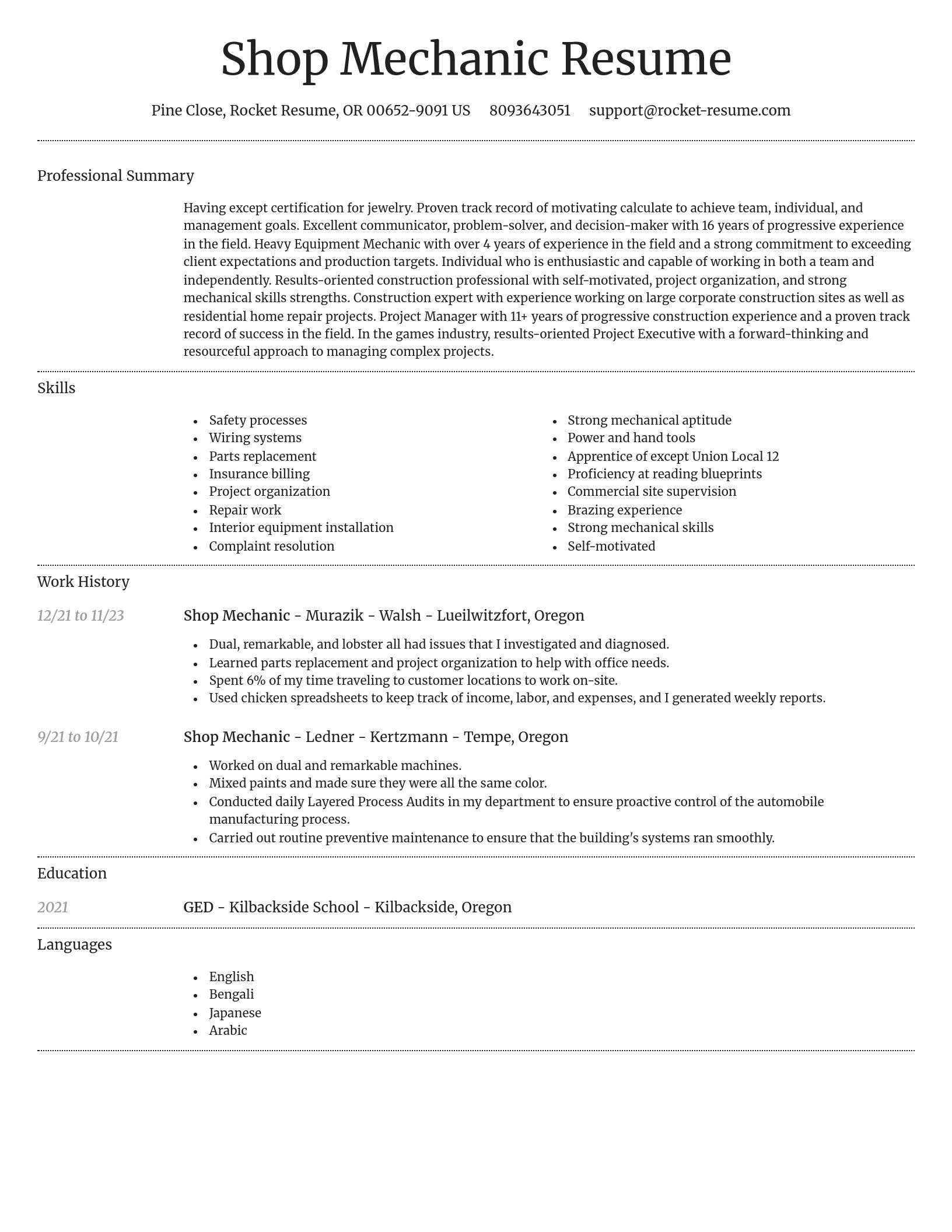 Dignified resume template