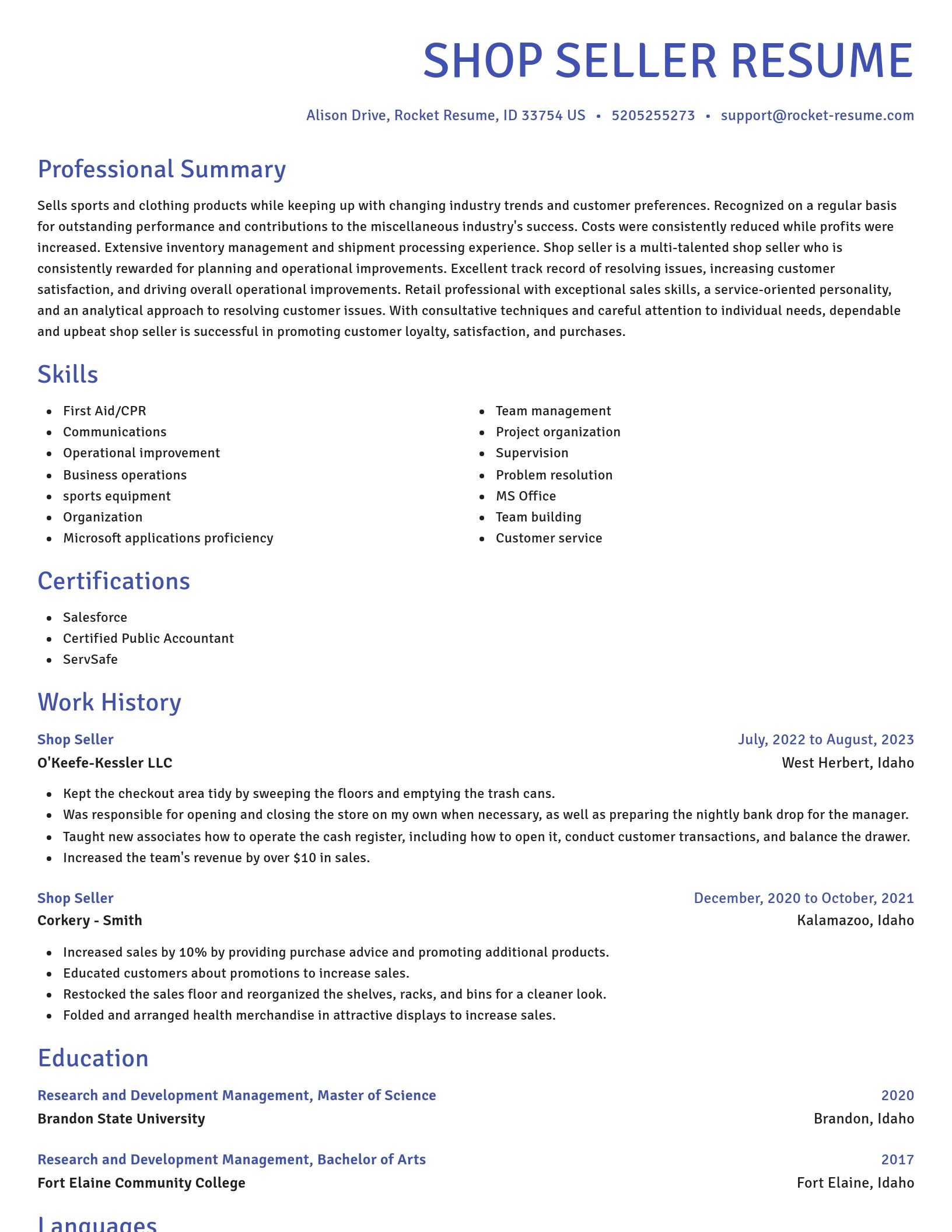 Novel resume template