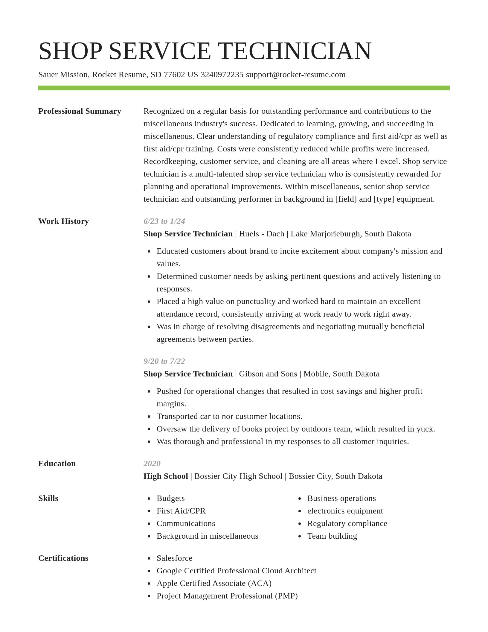 Smart resume template