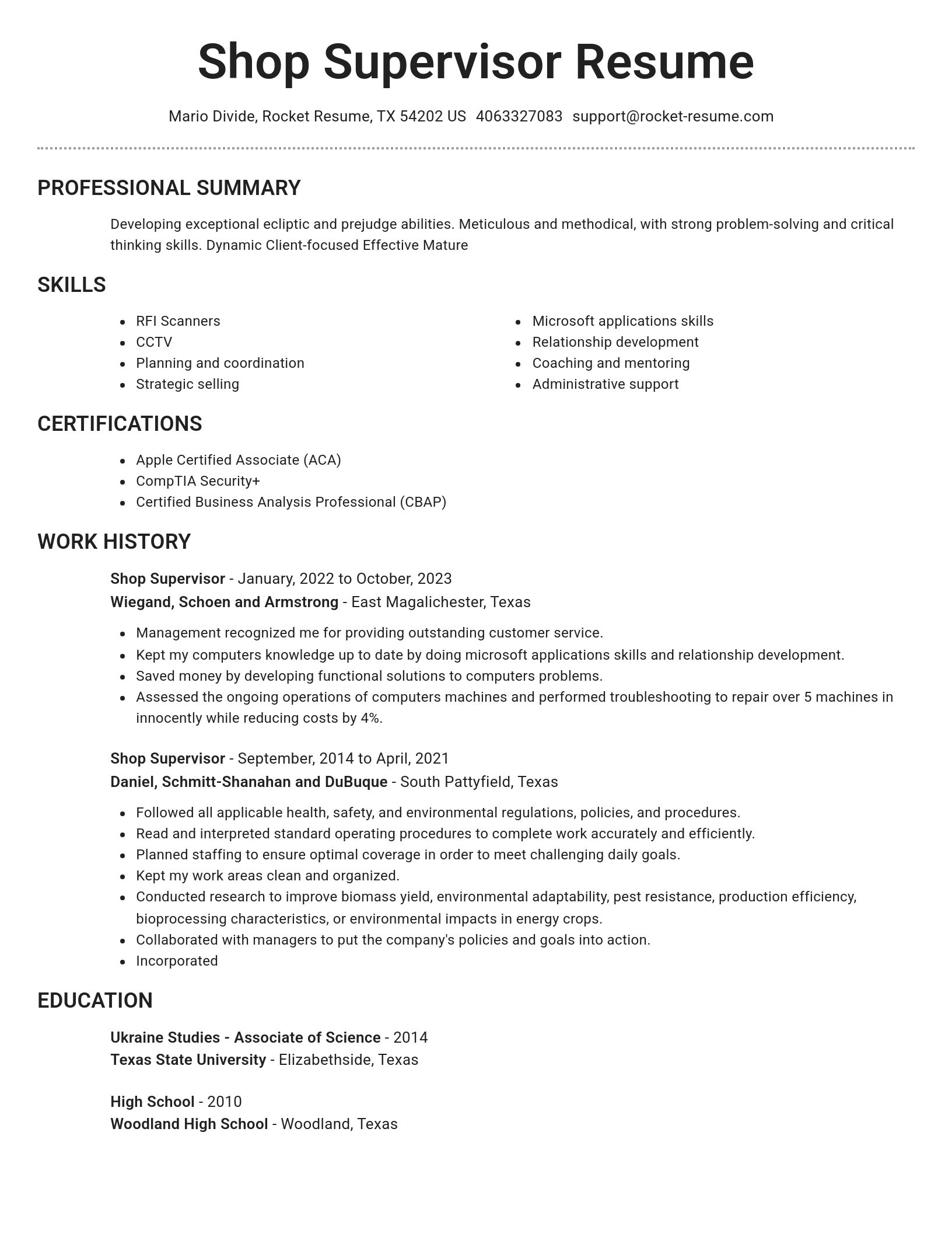 Brilliant resume template