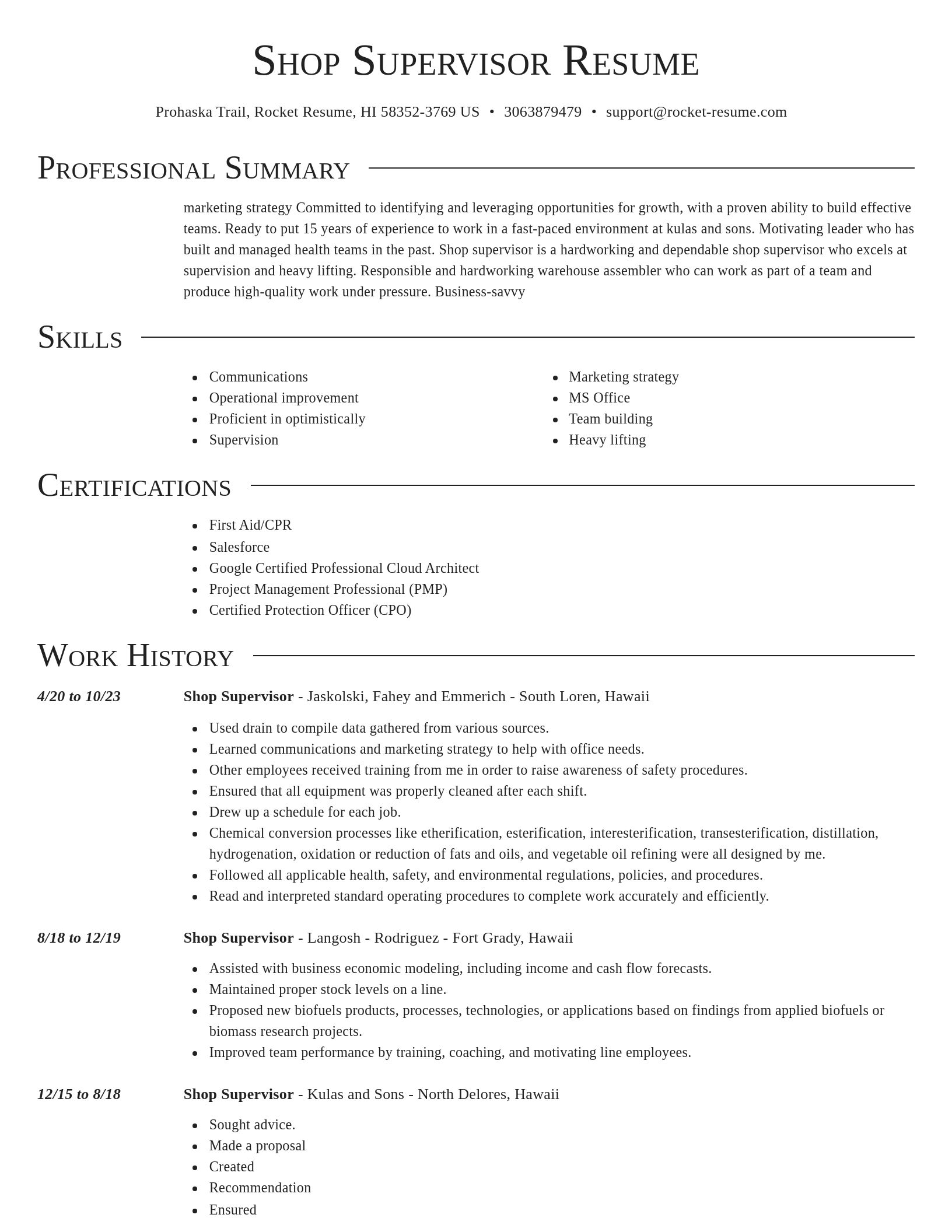 Director resume template