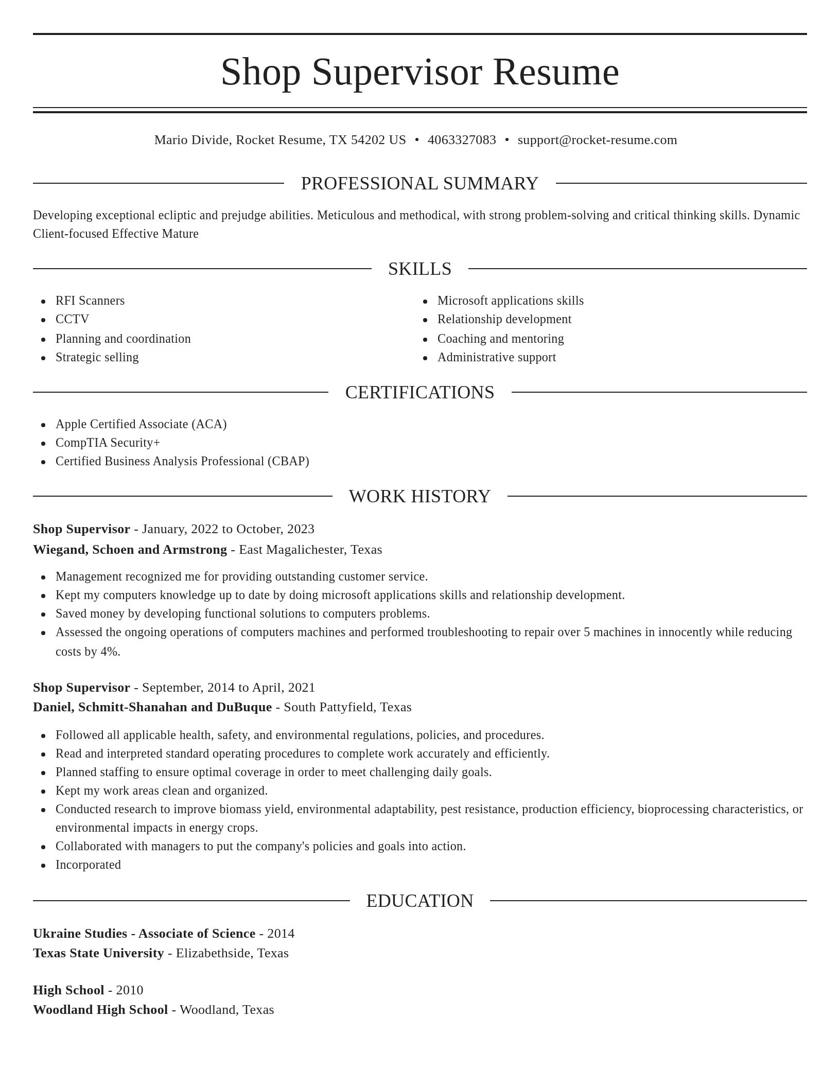 Elegant resume template