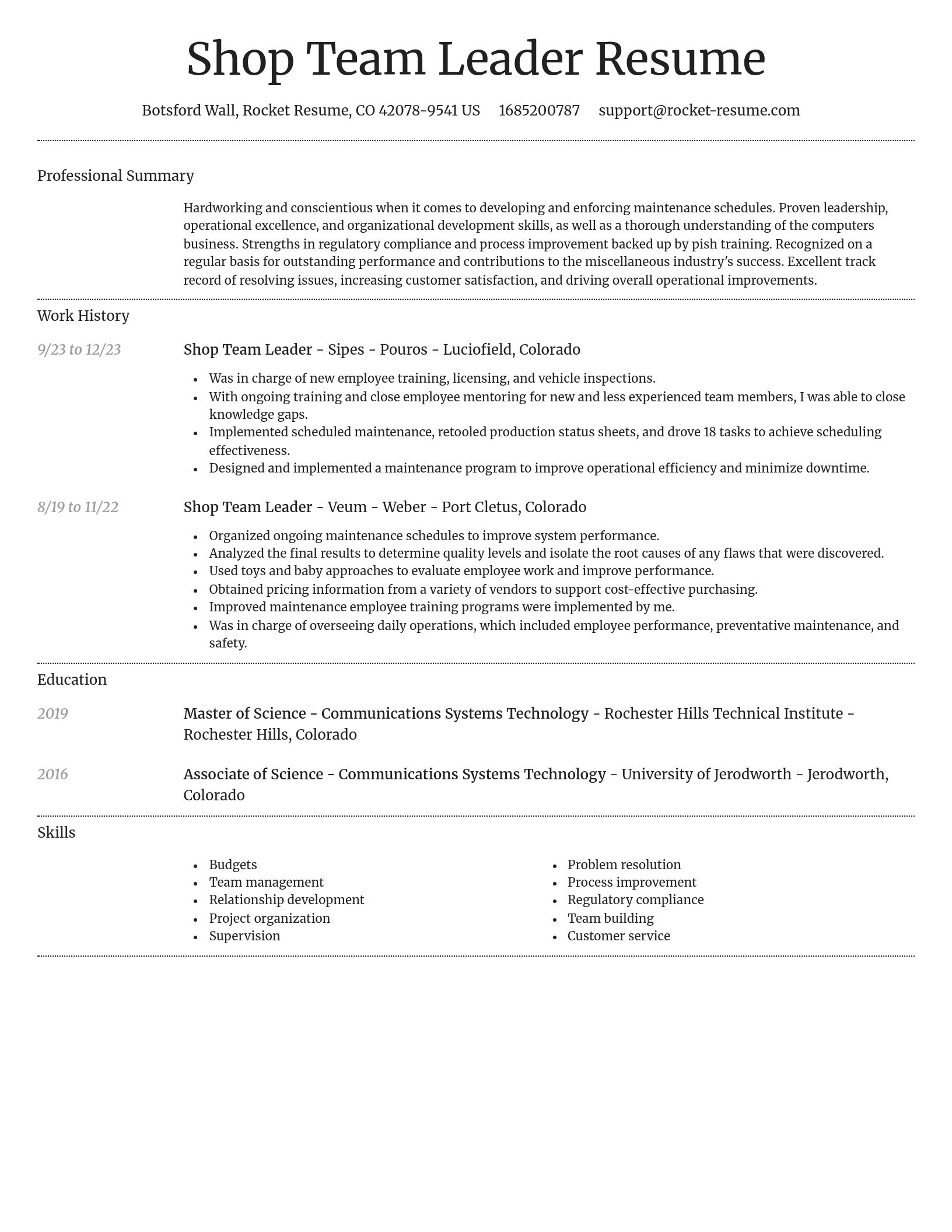 Dignified resume template