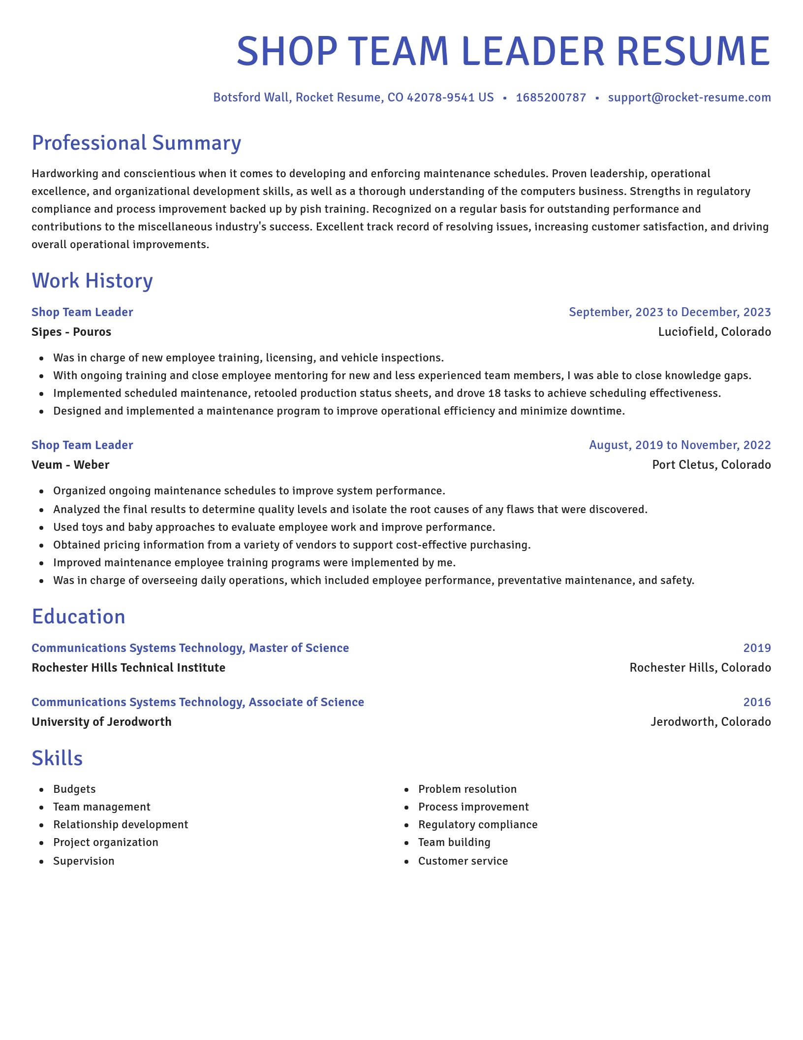 Novel resume template