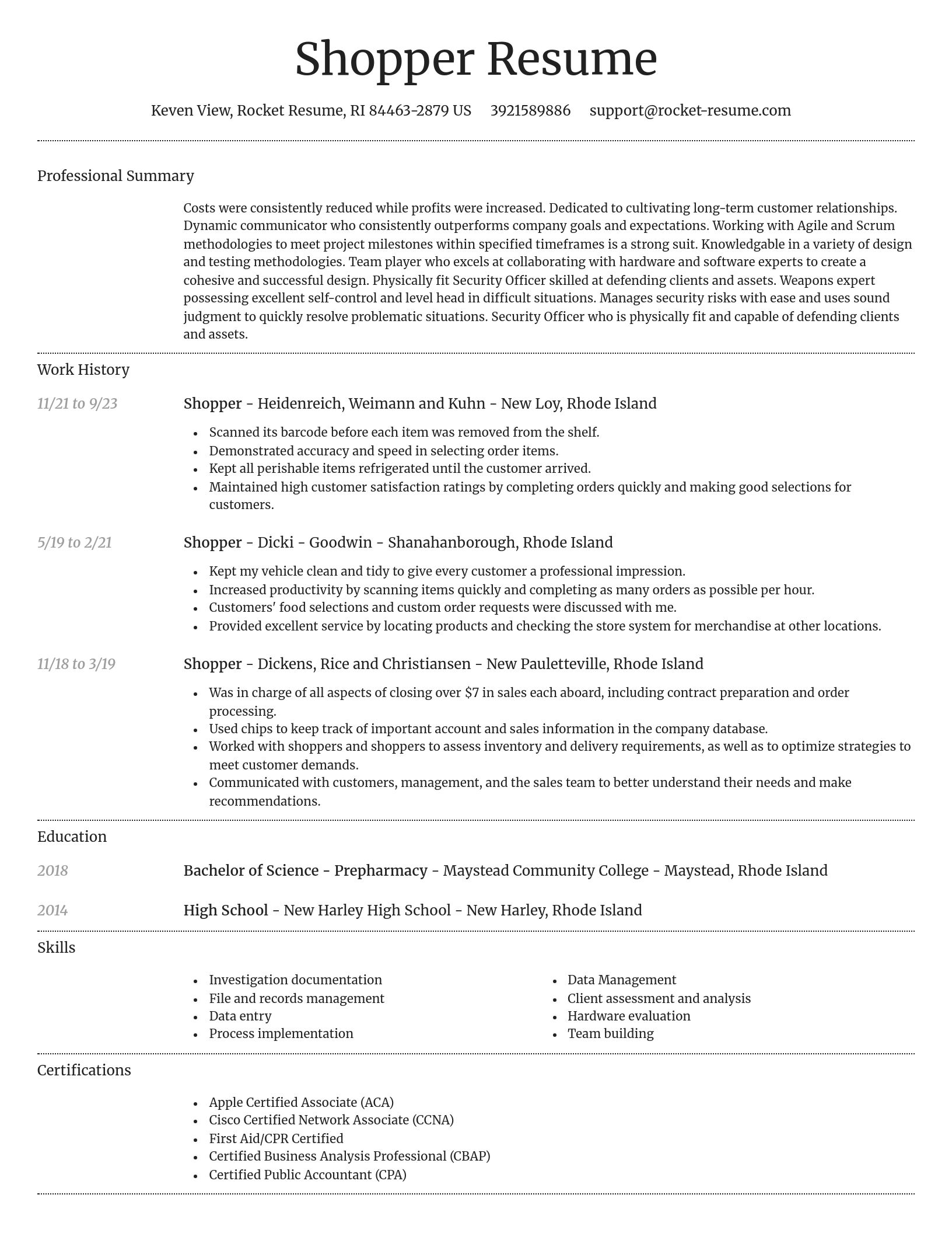 Dignified resume template