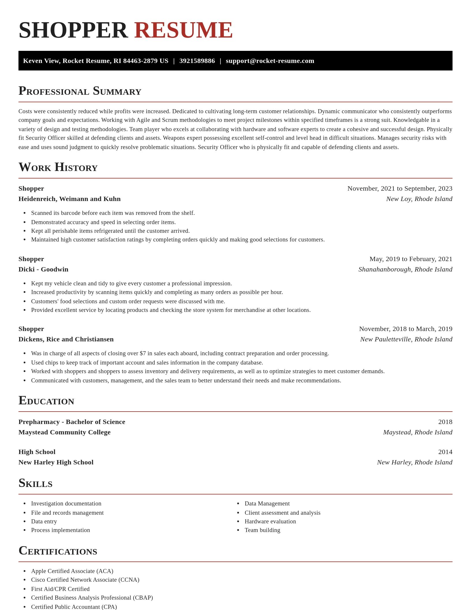 Exquisite resume template
