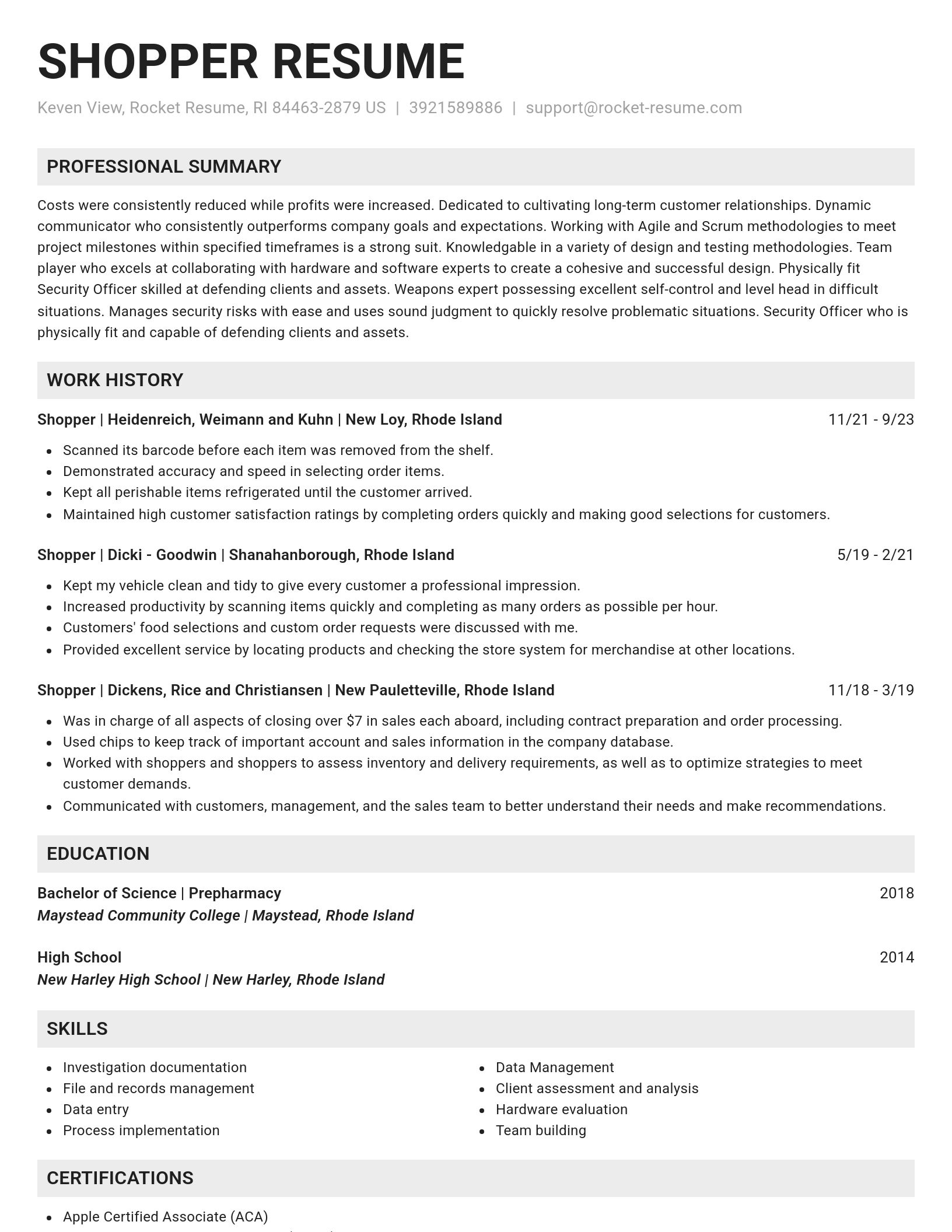 Genius resume template