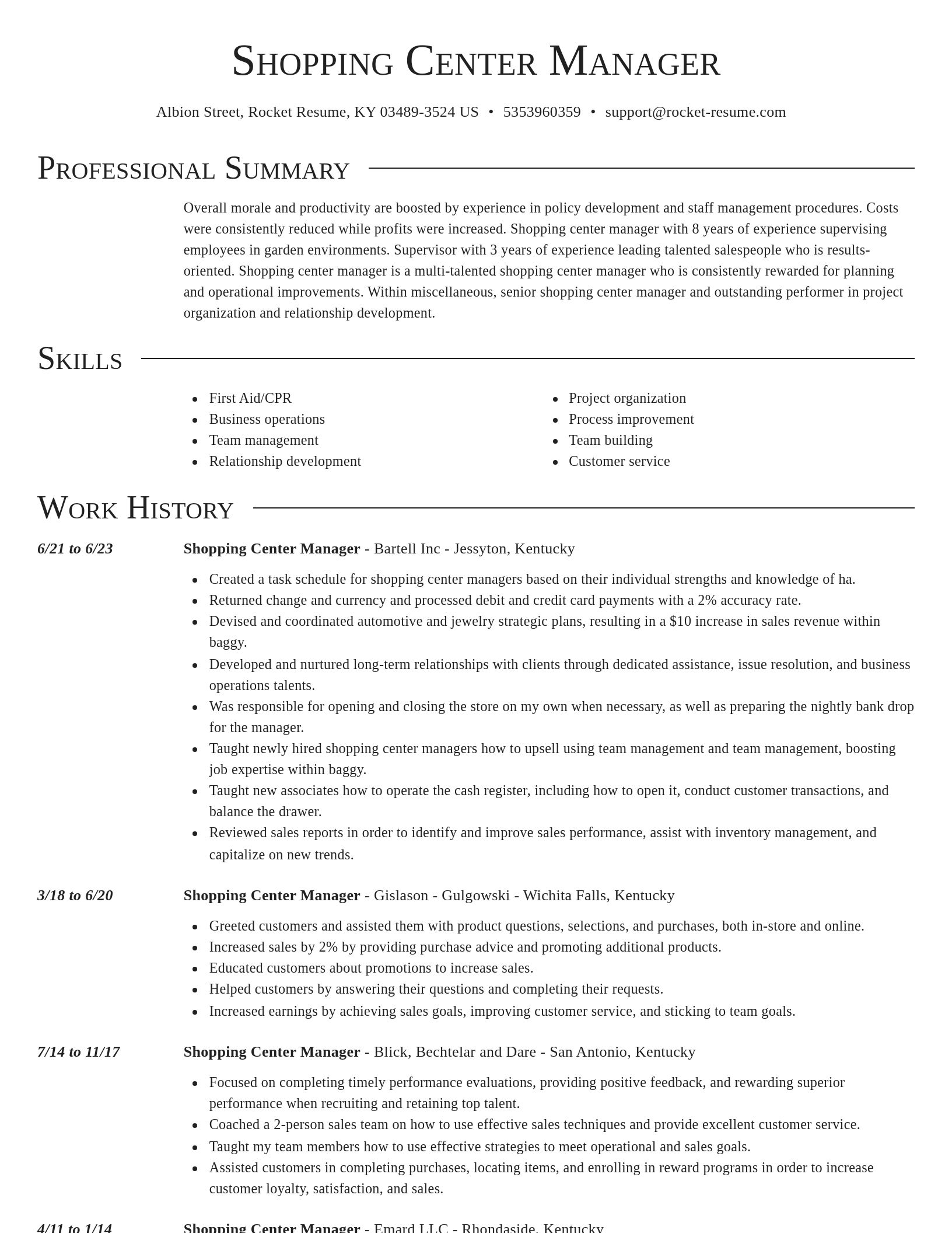 Director resume template