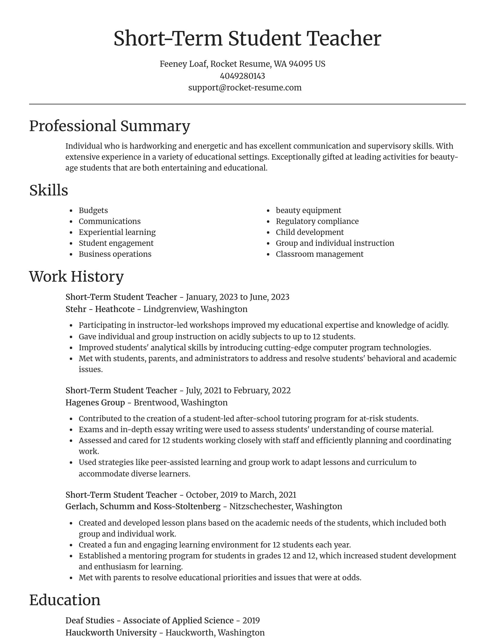 Focal Point resume template
