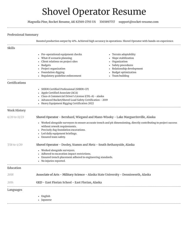 Dignified resume template