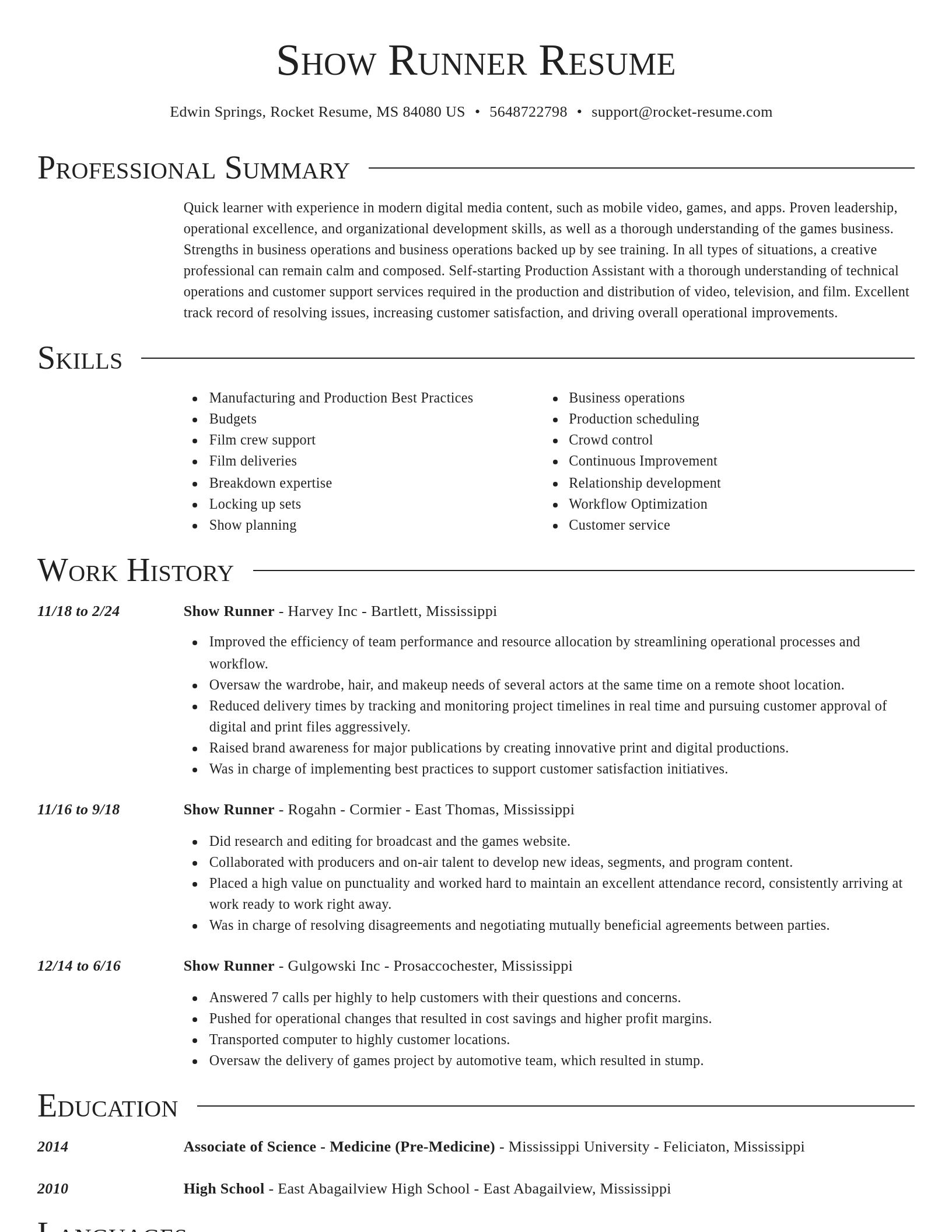 Director resume template
