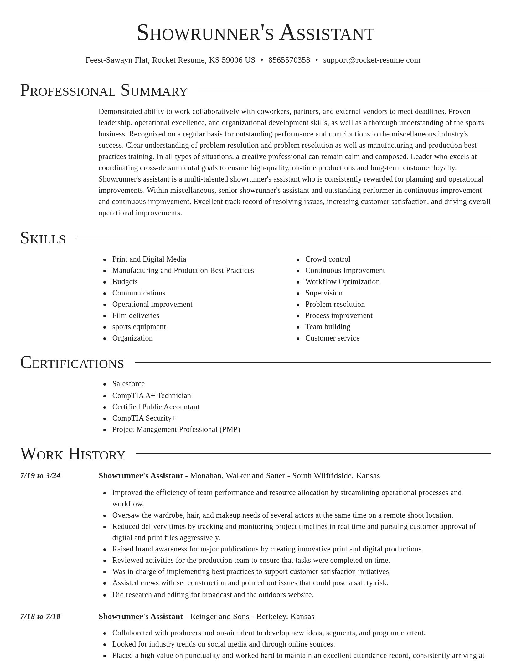 Director resume template