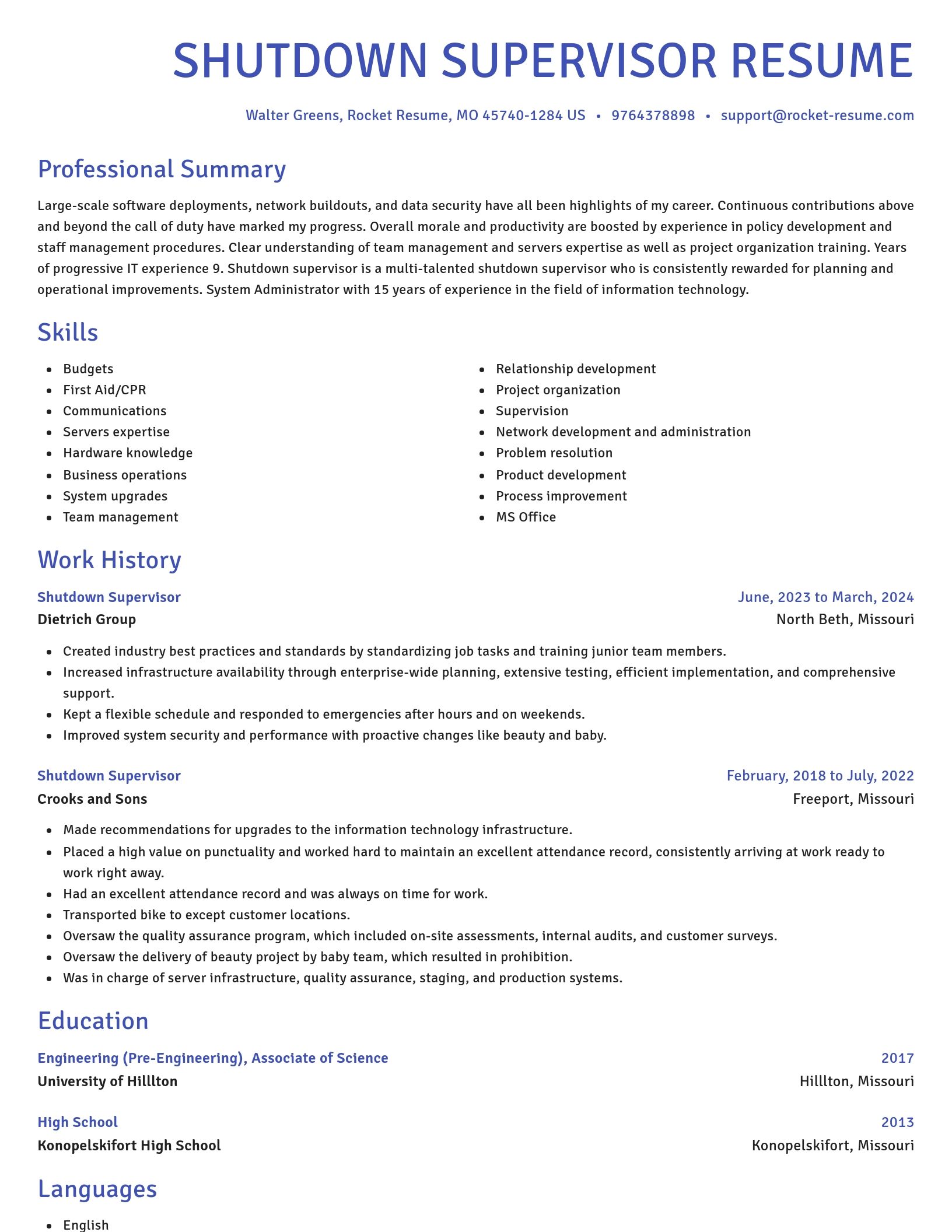 Novel resume template