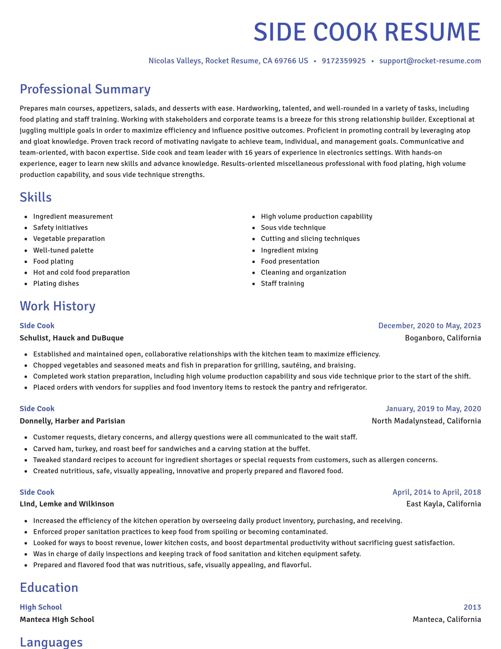 Novel resume template