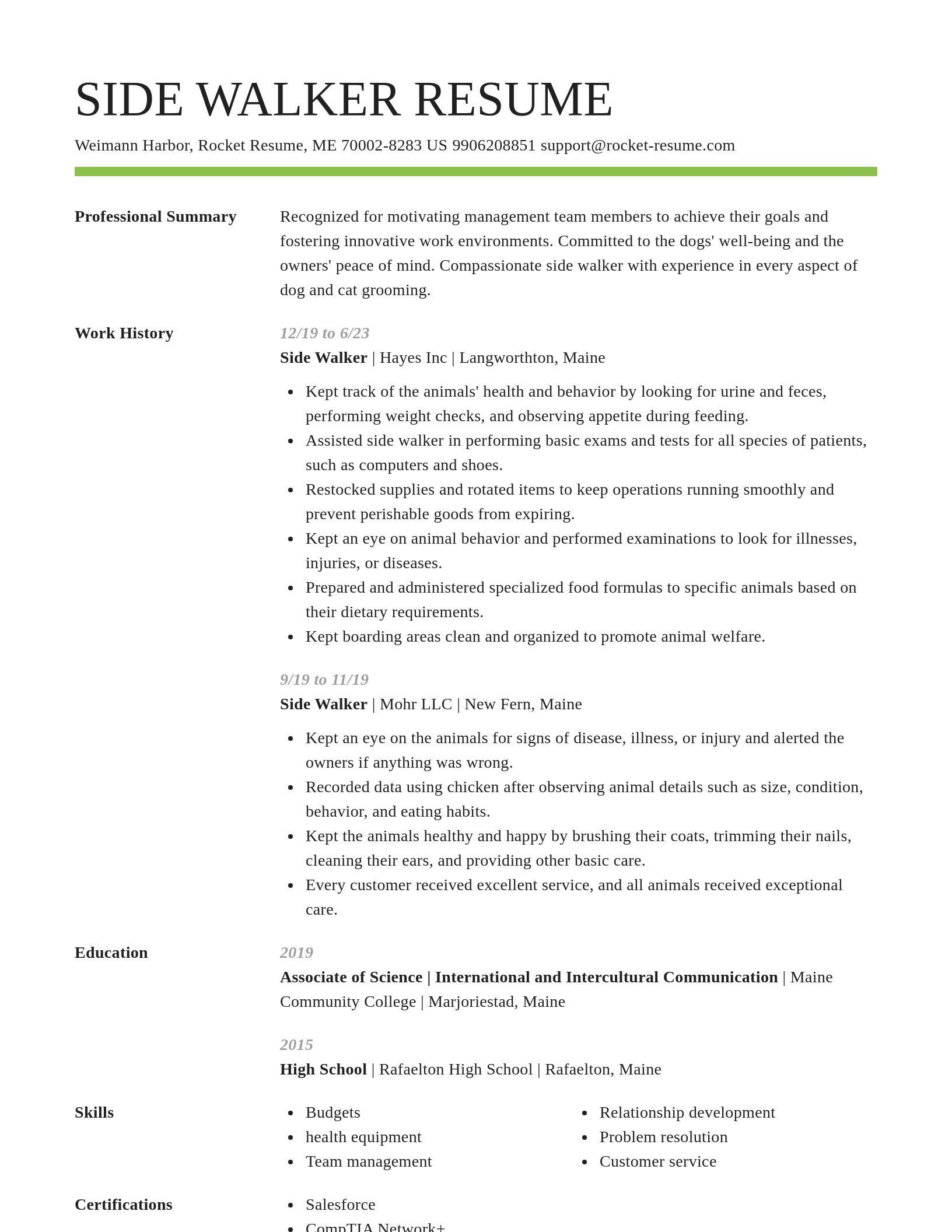 Smart resume template