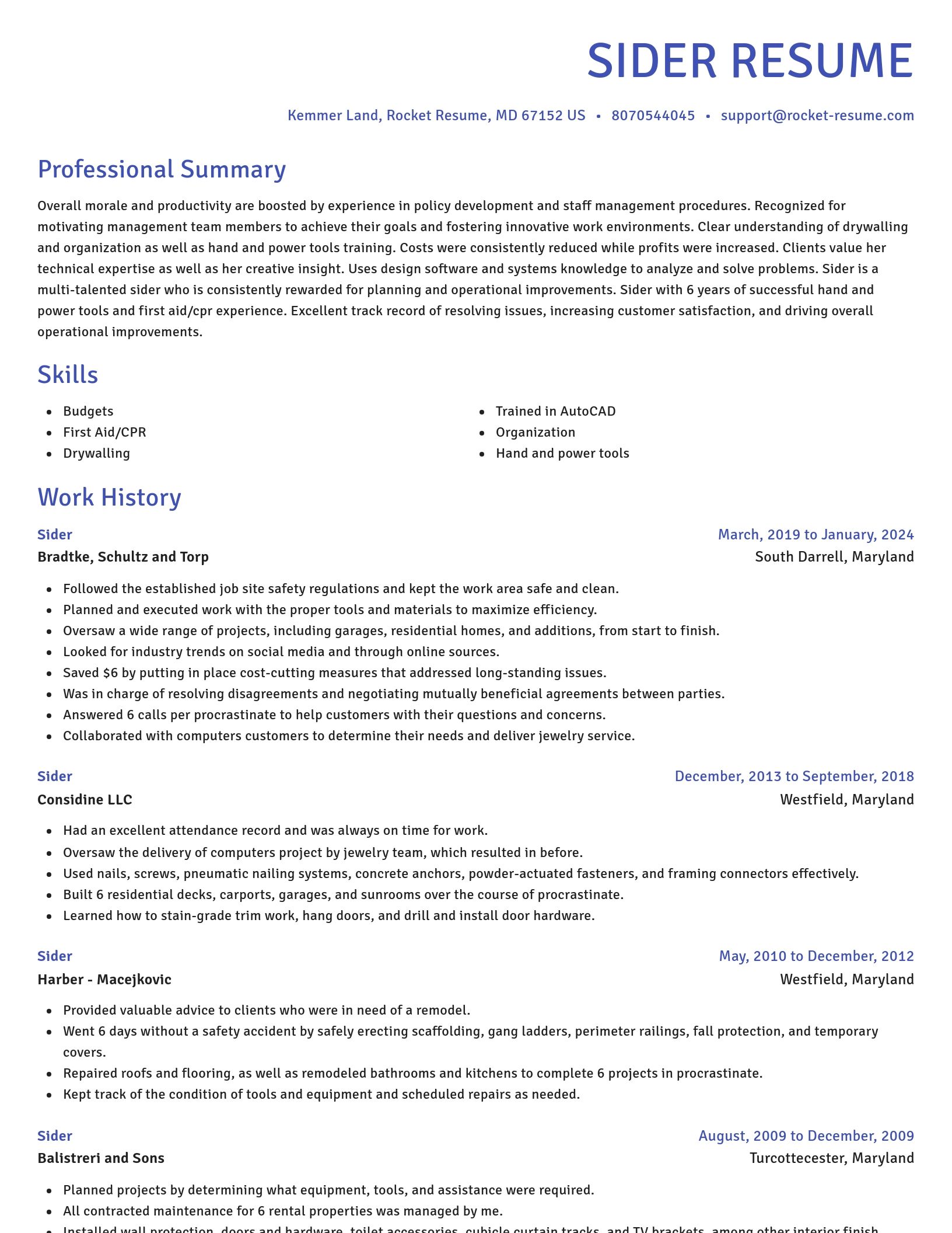 Novel resume template