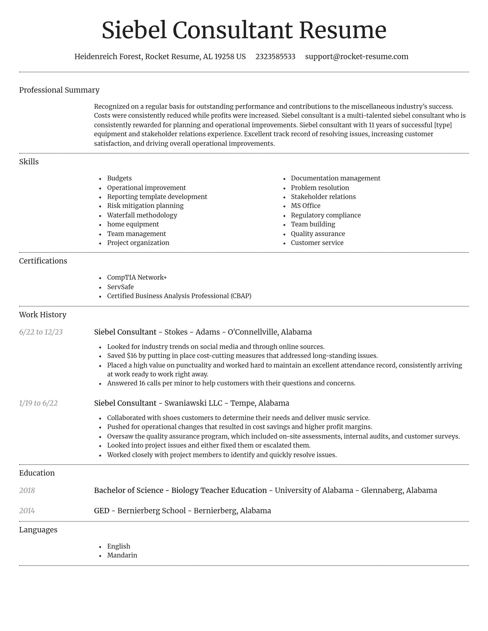 Dignified resume template