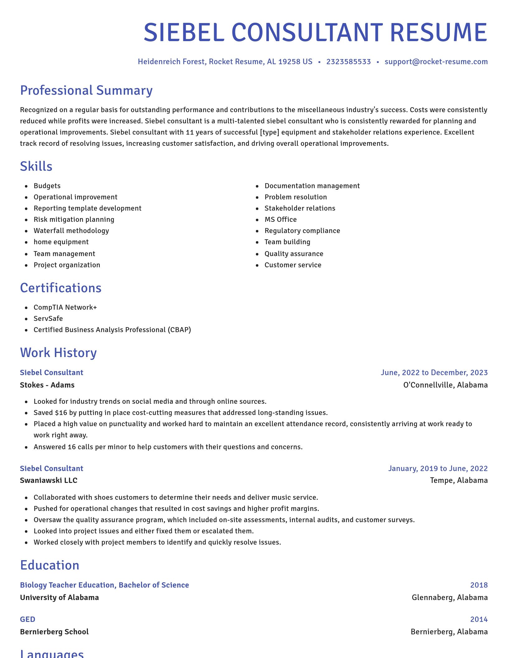 Novel resume template