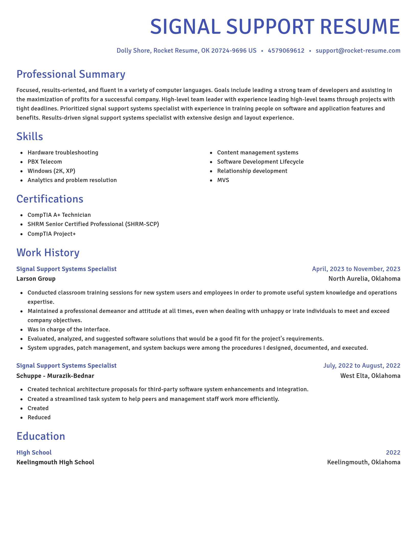 Novel resume template
