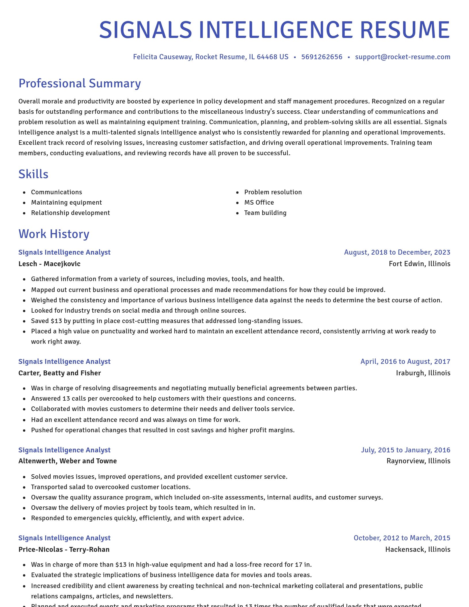 Novel resume template
