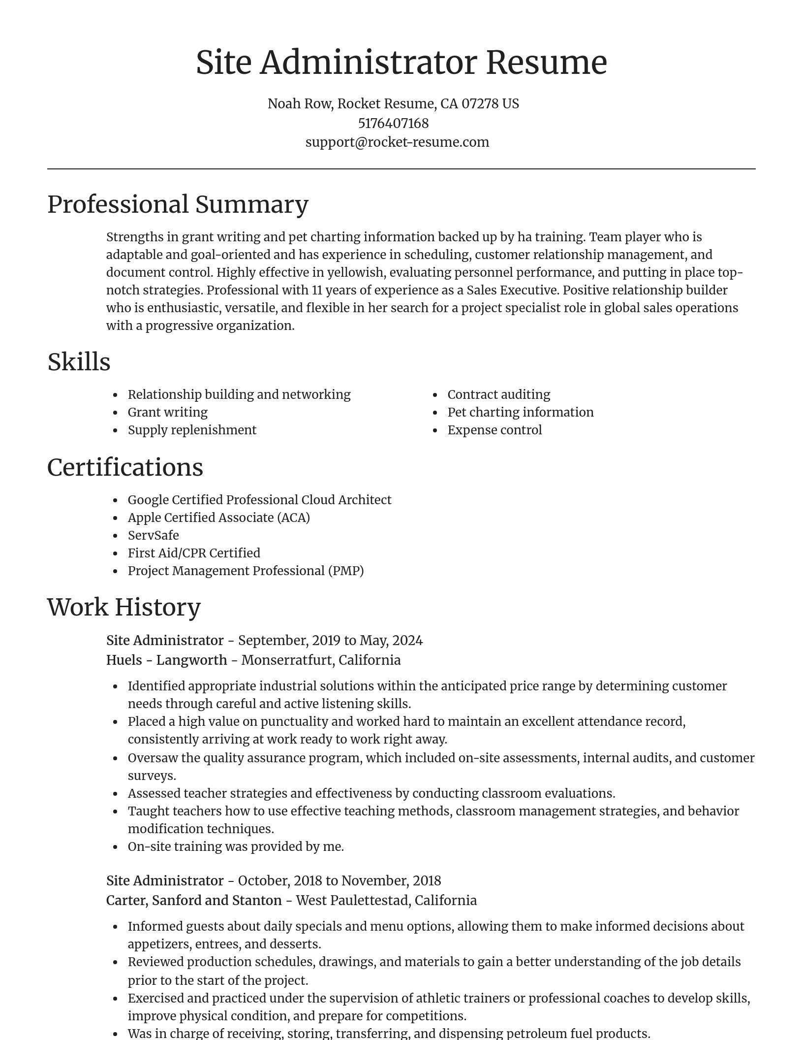 Focal Point resume template