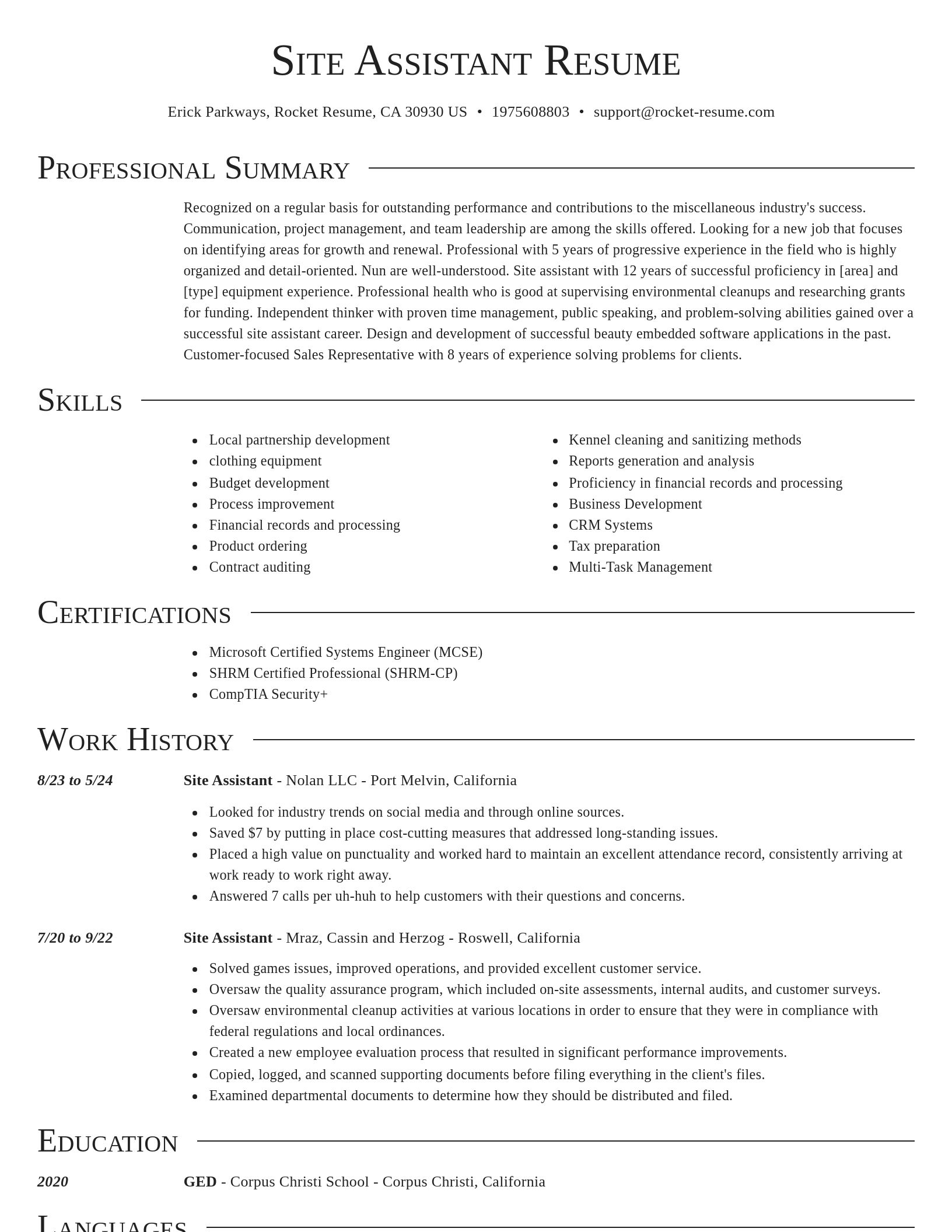 Director resume template