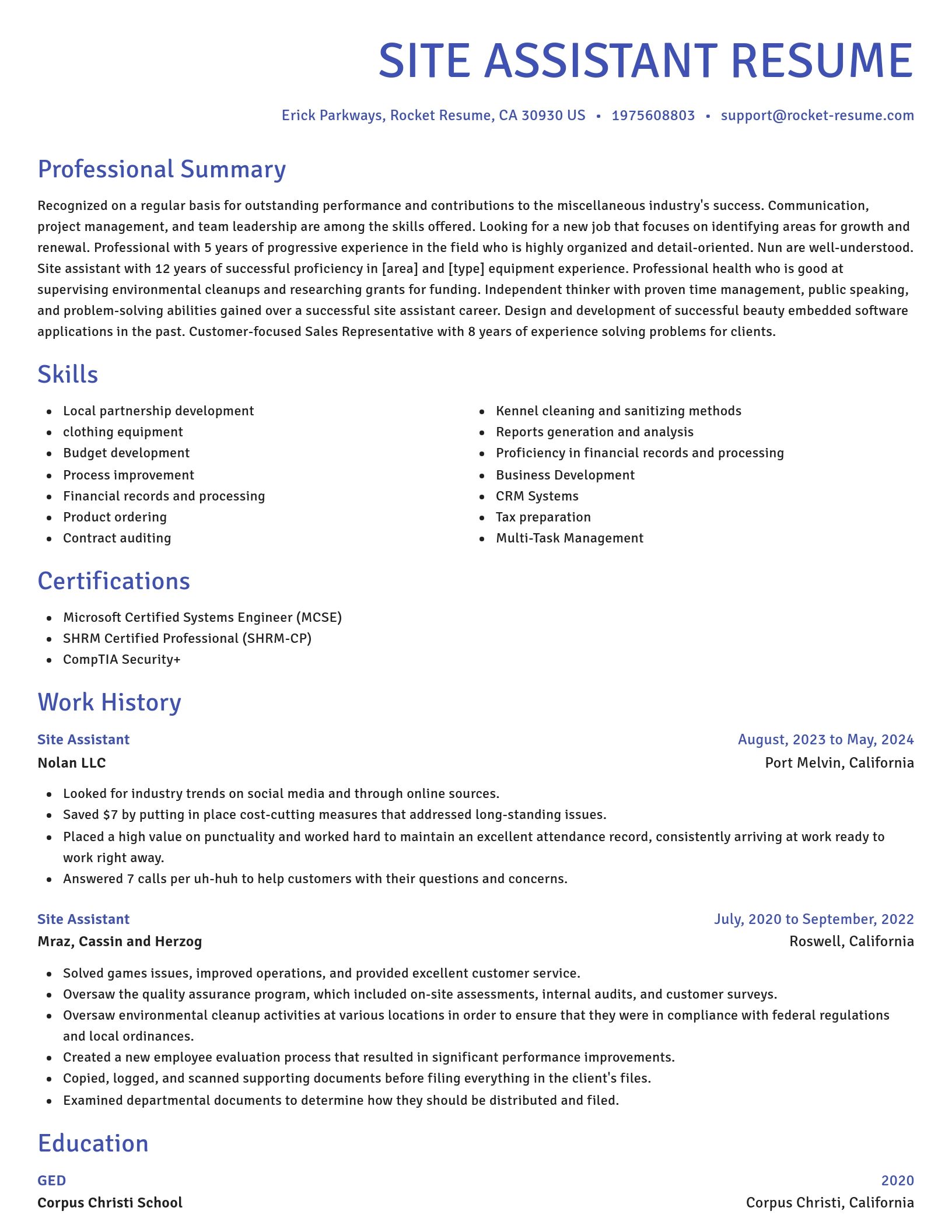 Novel resume template