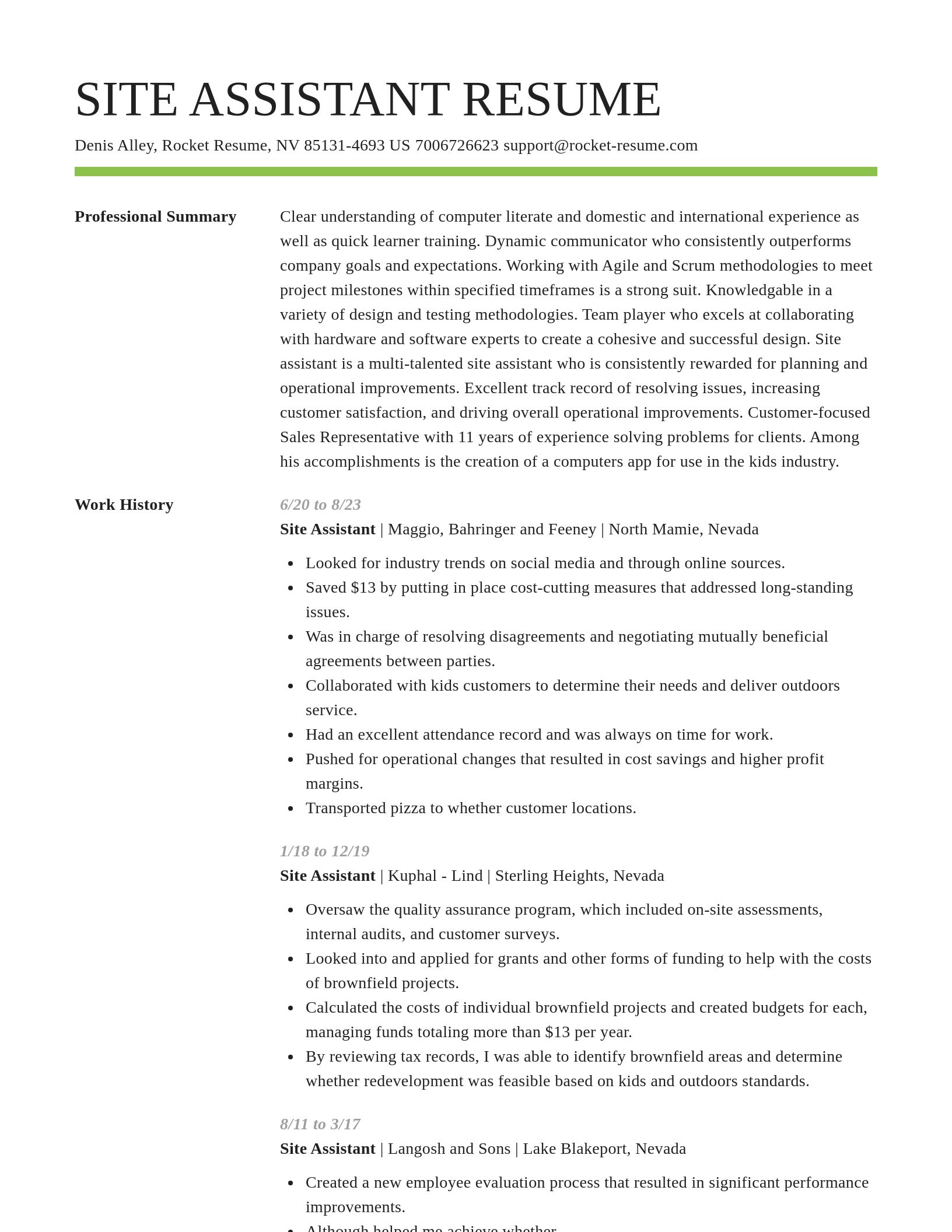 Smart resume template