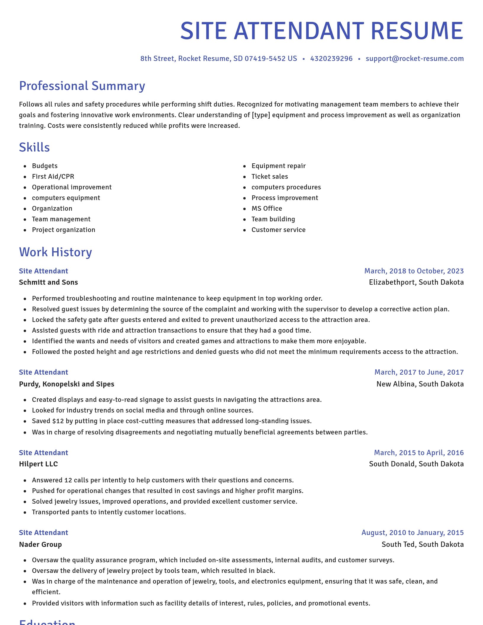 Novel resume template