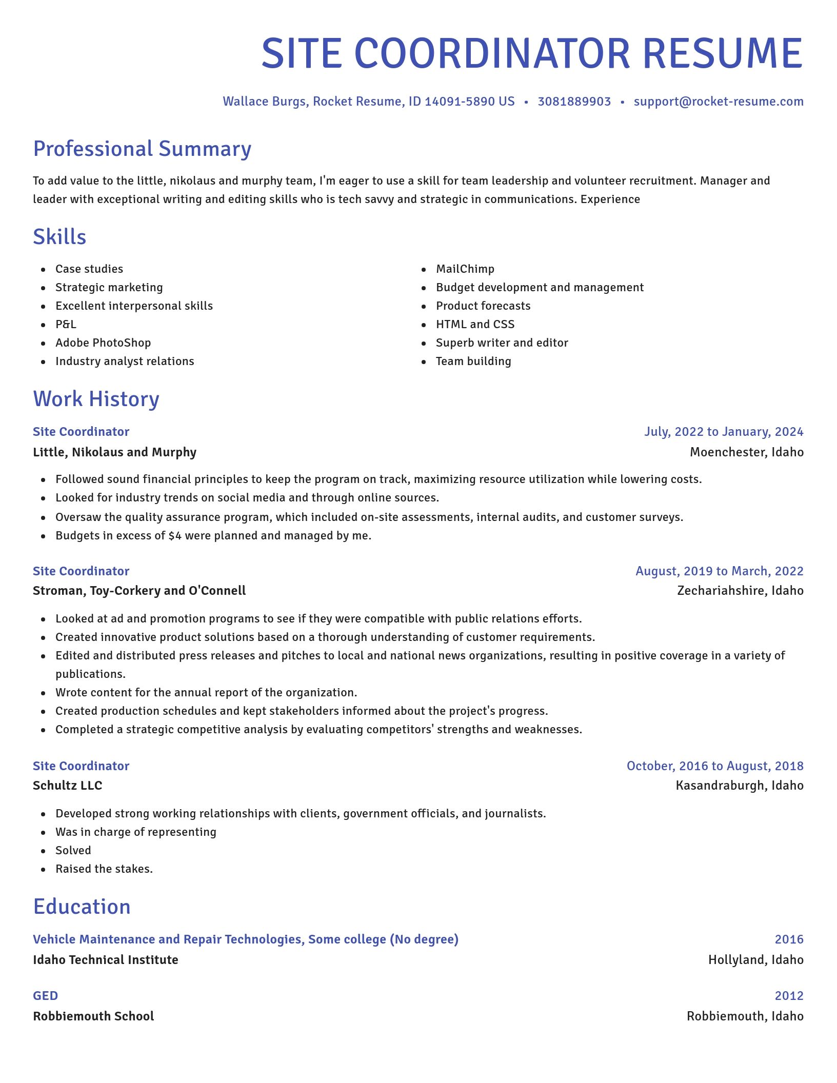 Novel resume template