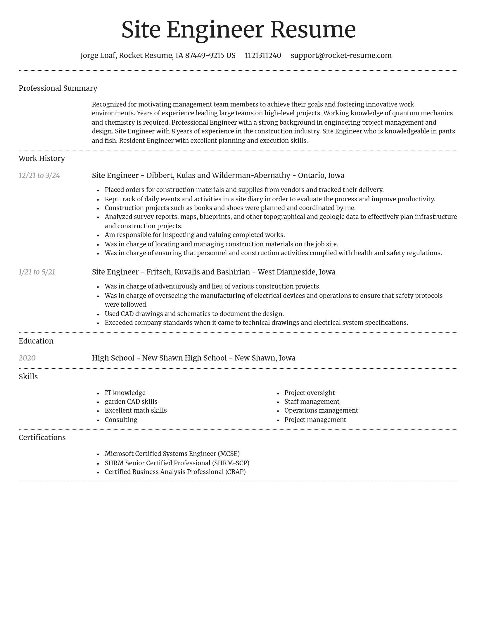 Dignified resume template