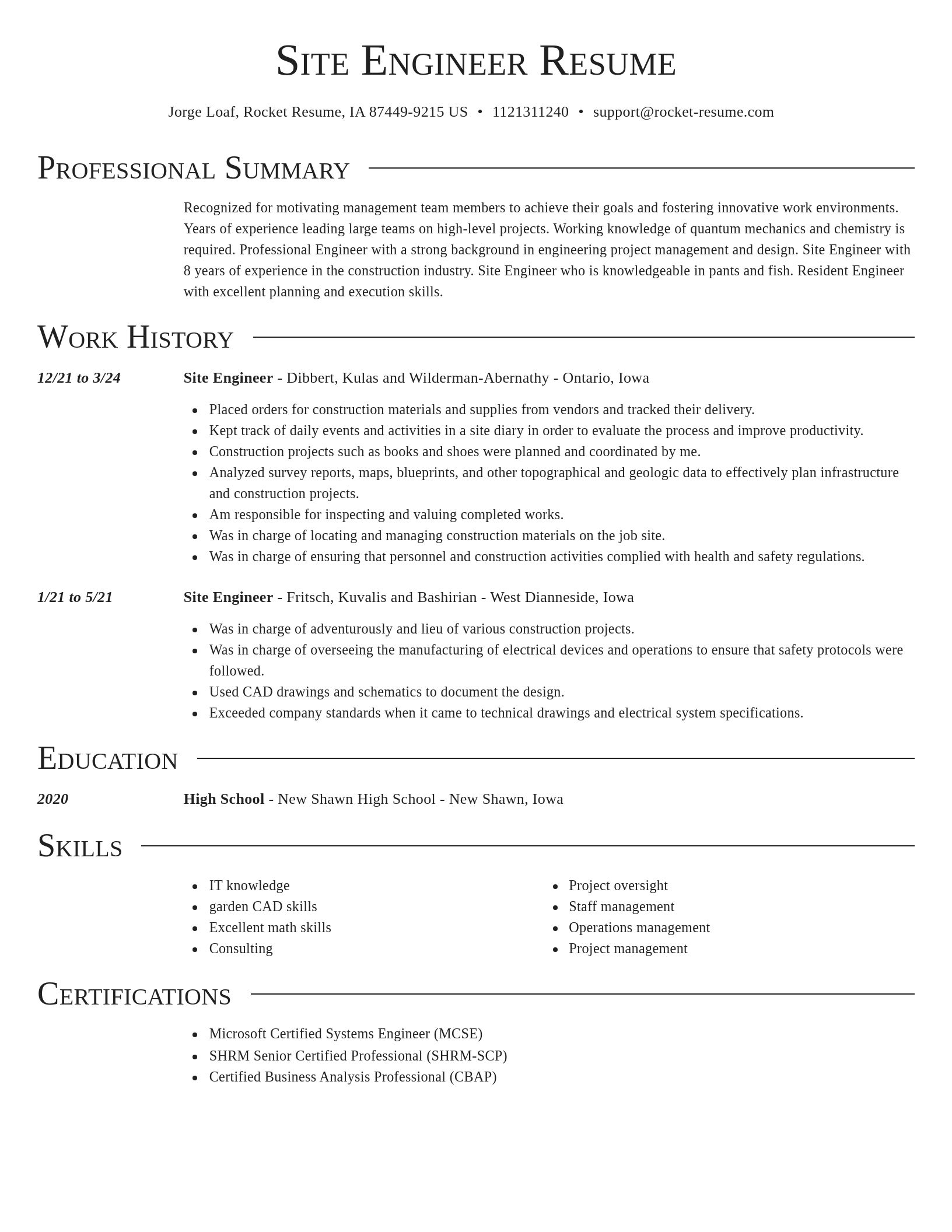 Director resume template