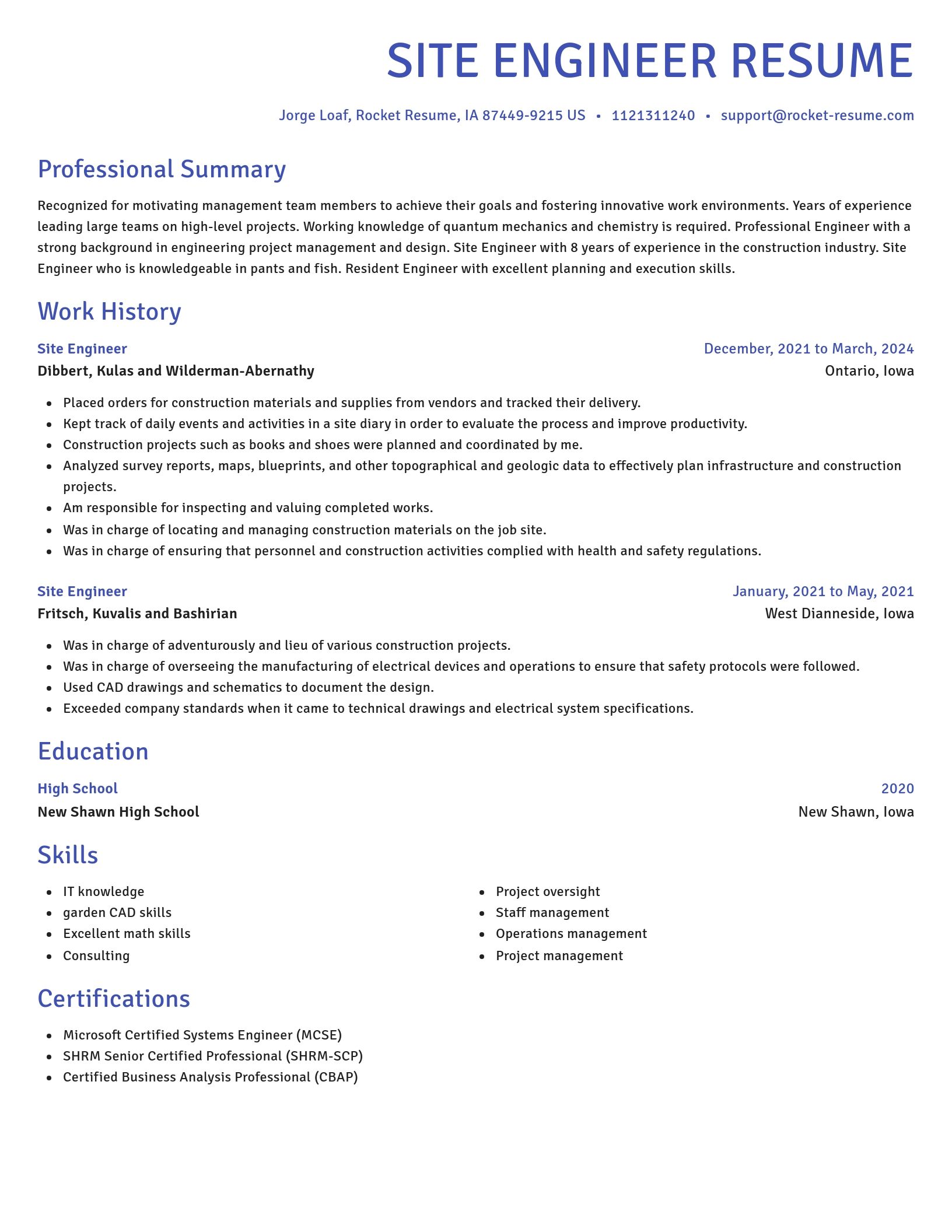 Novel resume template